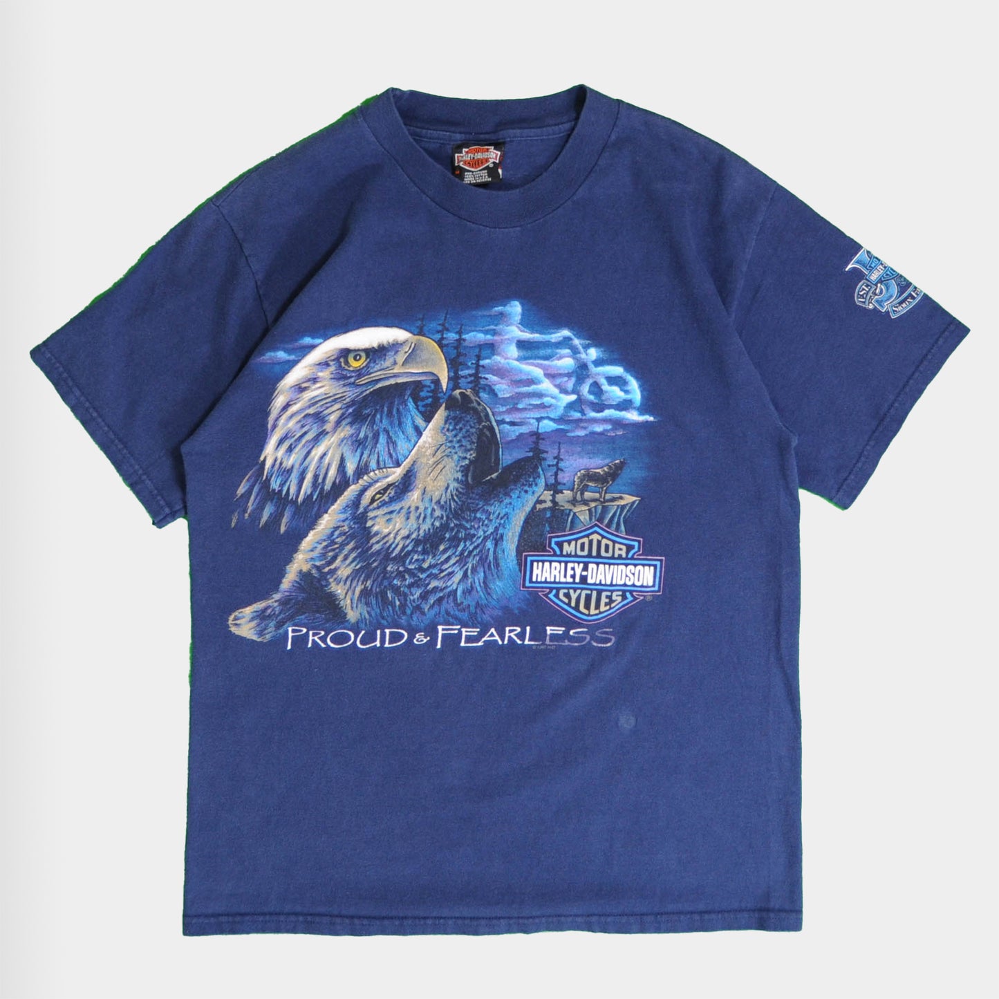 90's Harley Davidson ハーレー PROUD&FEARLESS 狼イーグルTシャツ 青(M)/A3923T-SO