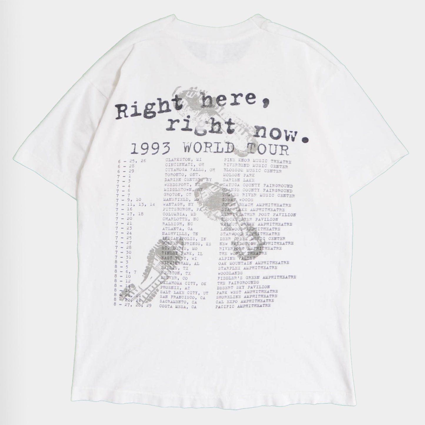 90's VANHALEN 1993ツアー Tシャツ (L)/A3687T-S