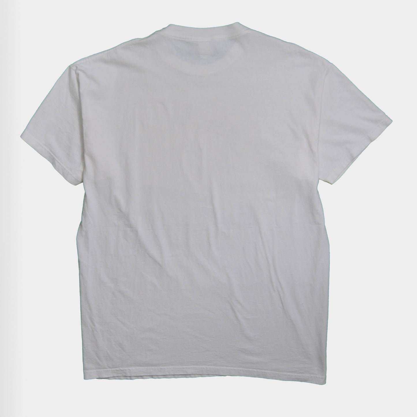 90's TITANIC ムービーTシャツ(XL)/A1732T