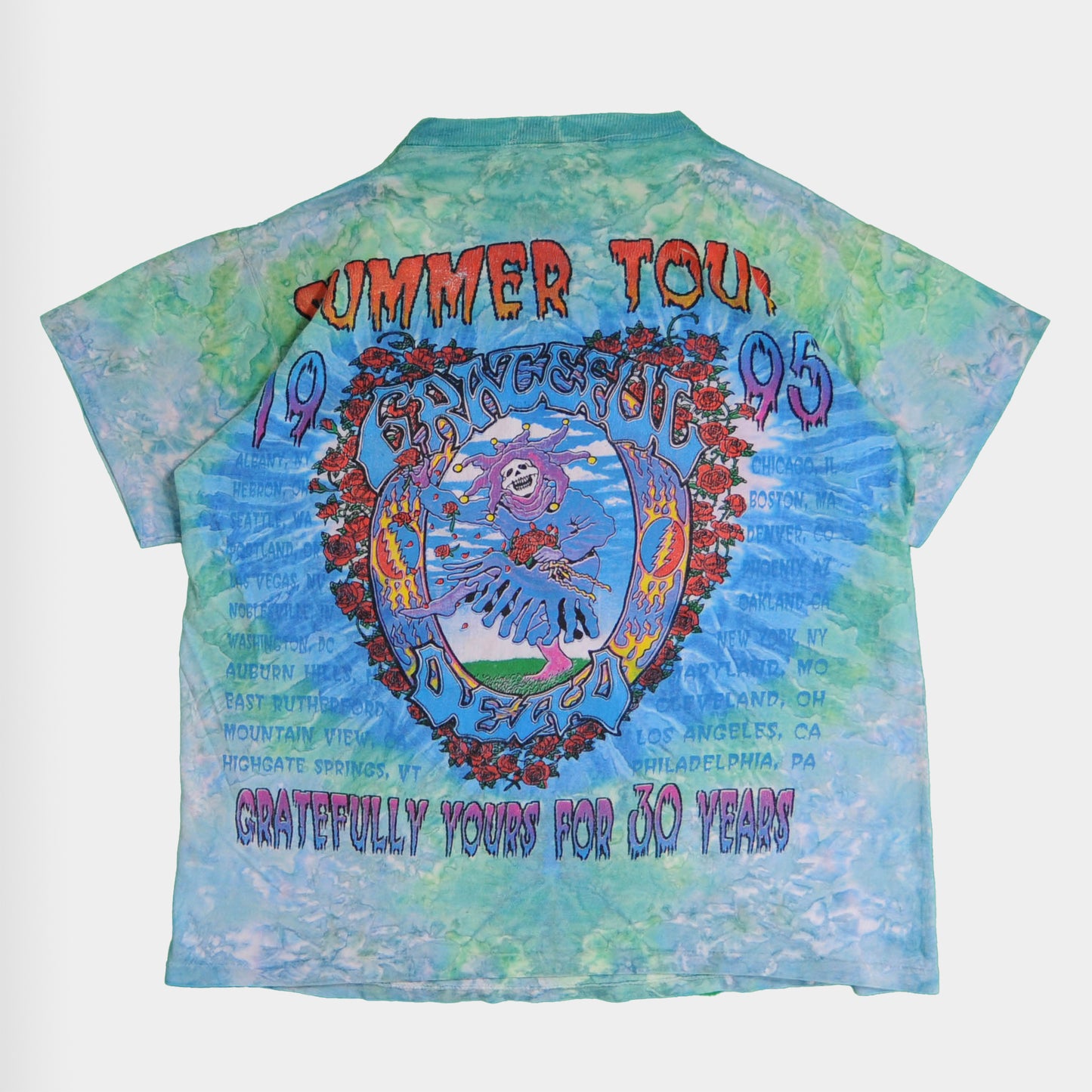 90's Greatful Dead 30ANV TOUR1995 タイダイ柄 Tシャツ (不明)/A4087T-SO