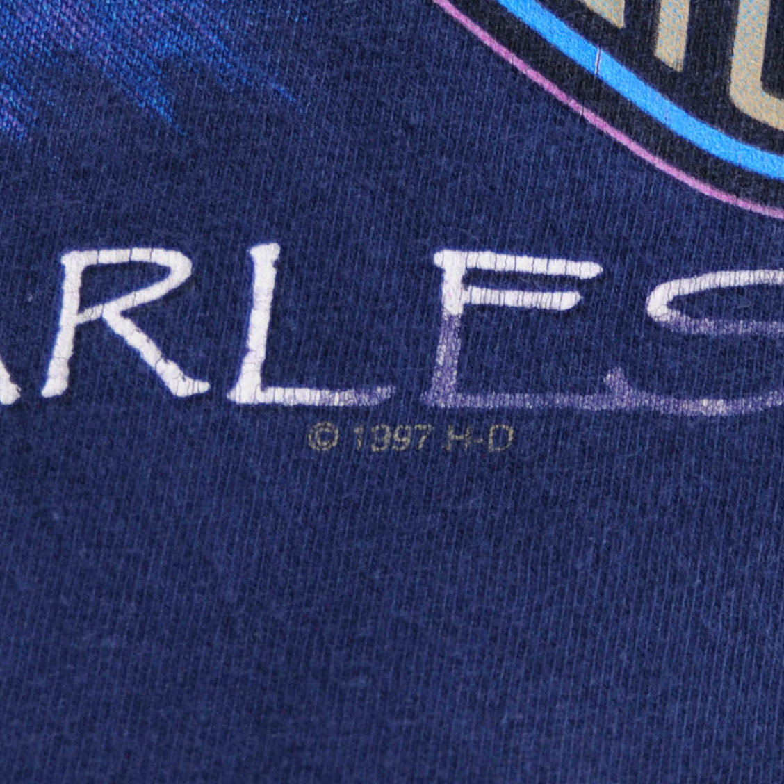 90's Harley Davidson ハーレー PROUD&FEARLESS 狼イーグルTシャツ 青(M)/A3923T-SO