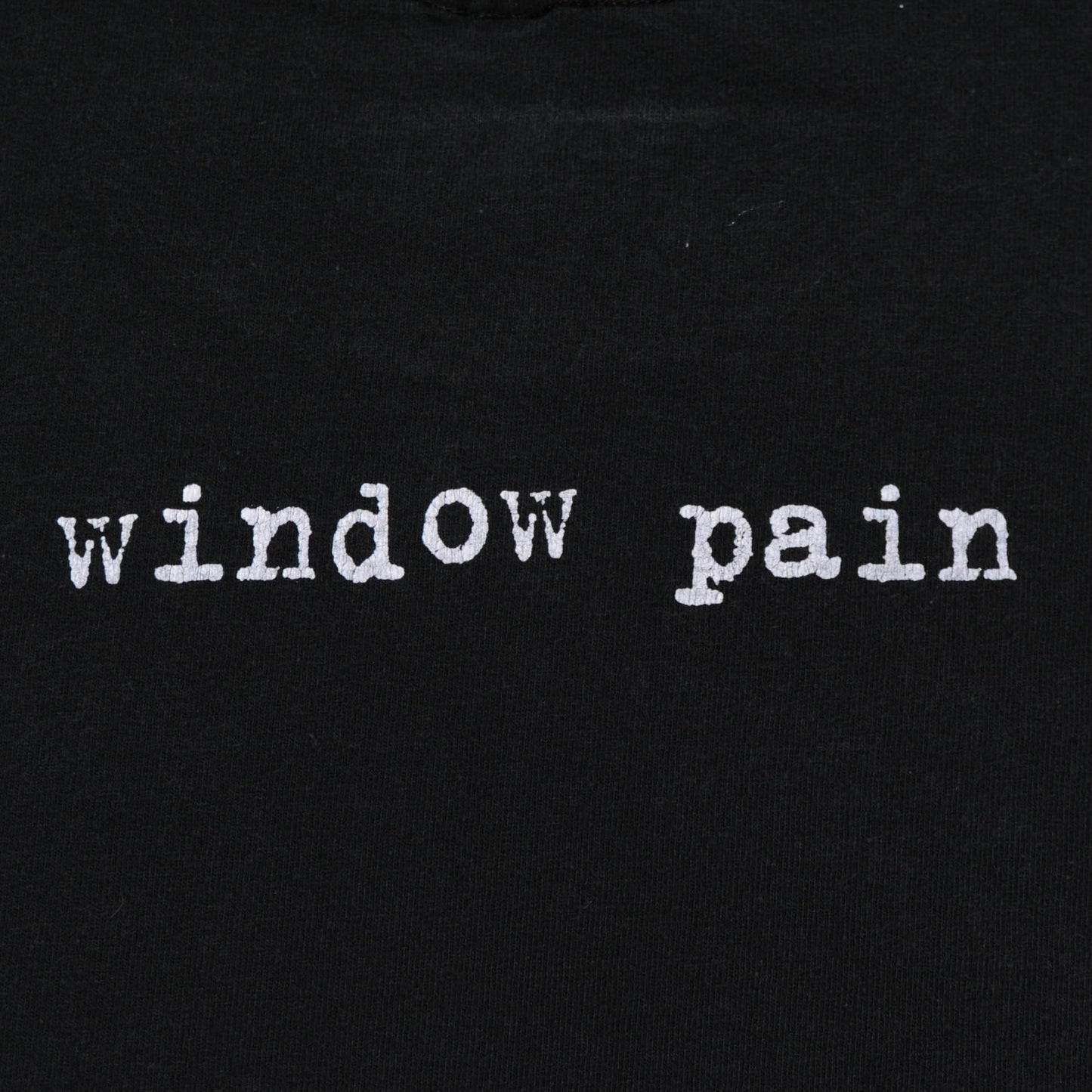 90's Pearl Jam "window pain" Tシャツ (L)/A4026T-O