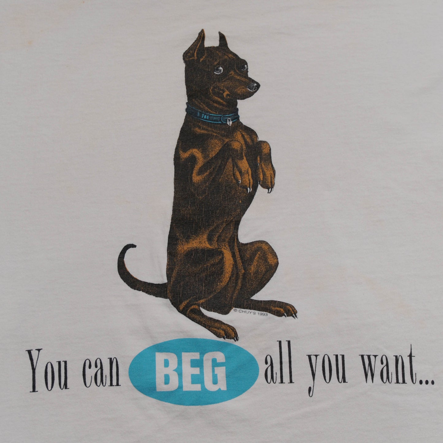 00's "You can BEG all you want..." Tシャツ (XXL)/A3965T-O