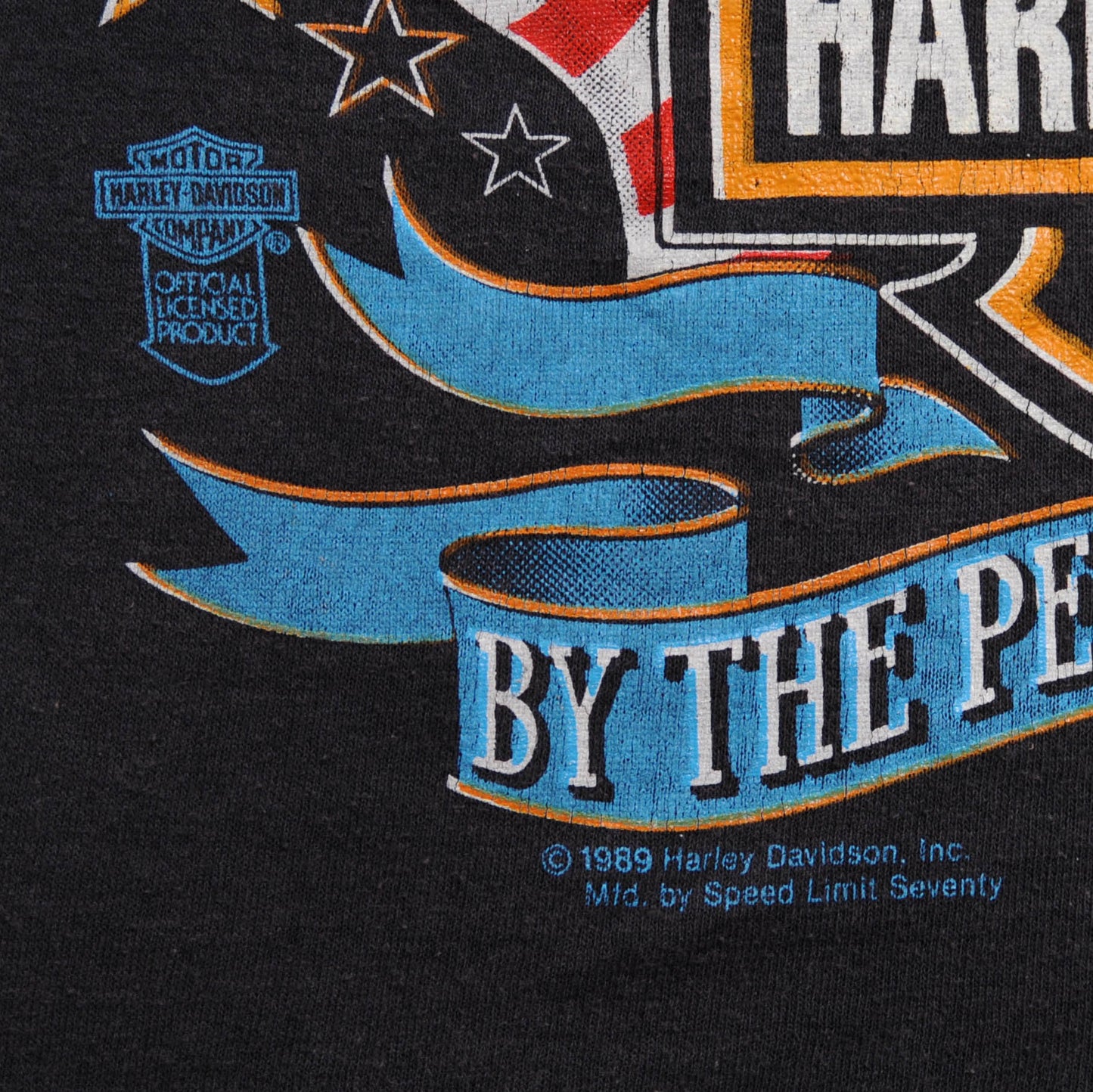 80's HarleyDavidson Born IN THE U.S.A Tシャツ 黒(L)/A4045T-S