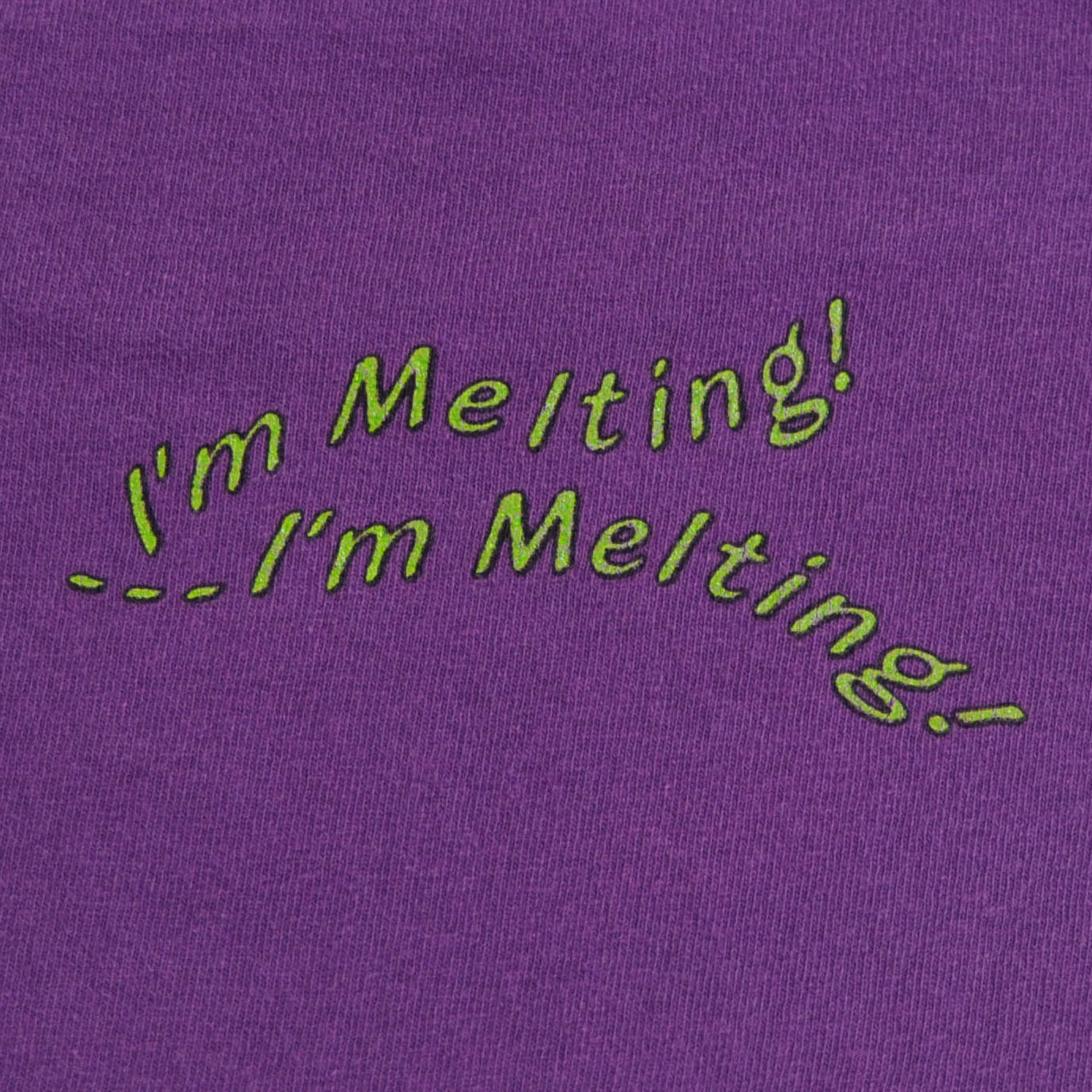 The Wizard of Oz オズの魔法使い プリントTシャツ 紫(不明)/A2330T-SO