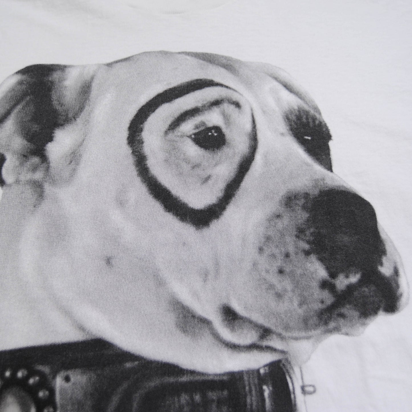 90's FRUIT OF THE LOOM リトルラスカルズ 子犬のピートTシャツ 白 (XL)/A3531T-SO