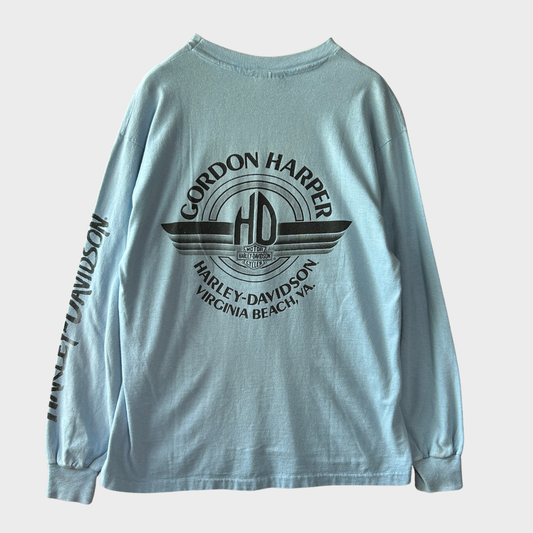 90's Hanes Harley-Davidson "The Screamin' Eagle" 袖プリント ロングTシャツ 水色 (L)/A6501T-SO