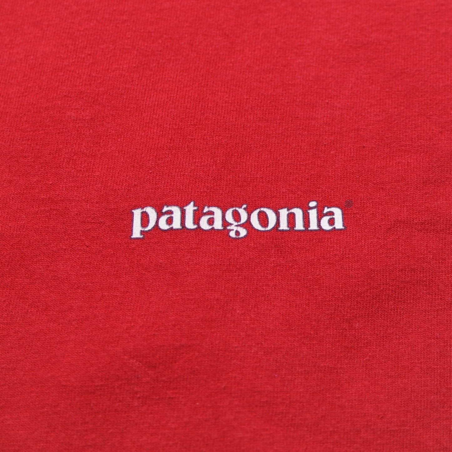 00's Patagonia Organic CottonロゴプリントL/S Tシャツ(XL)/A2379T-S
