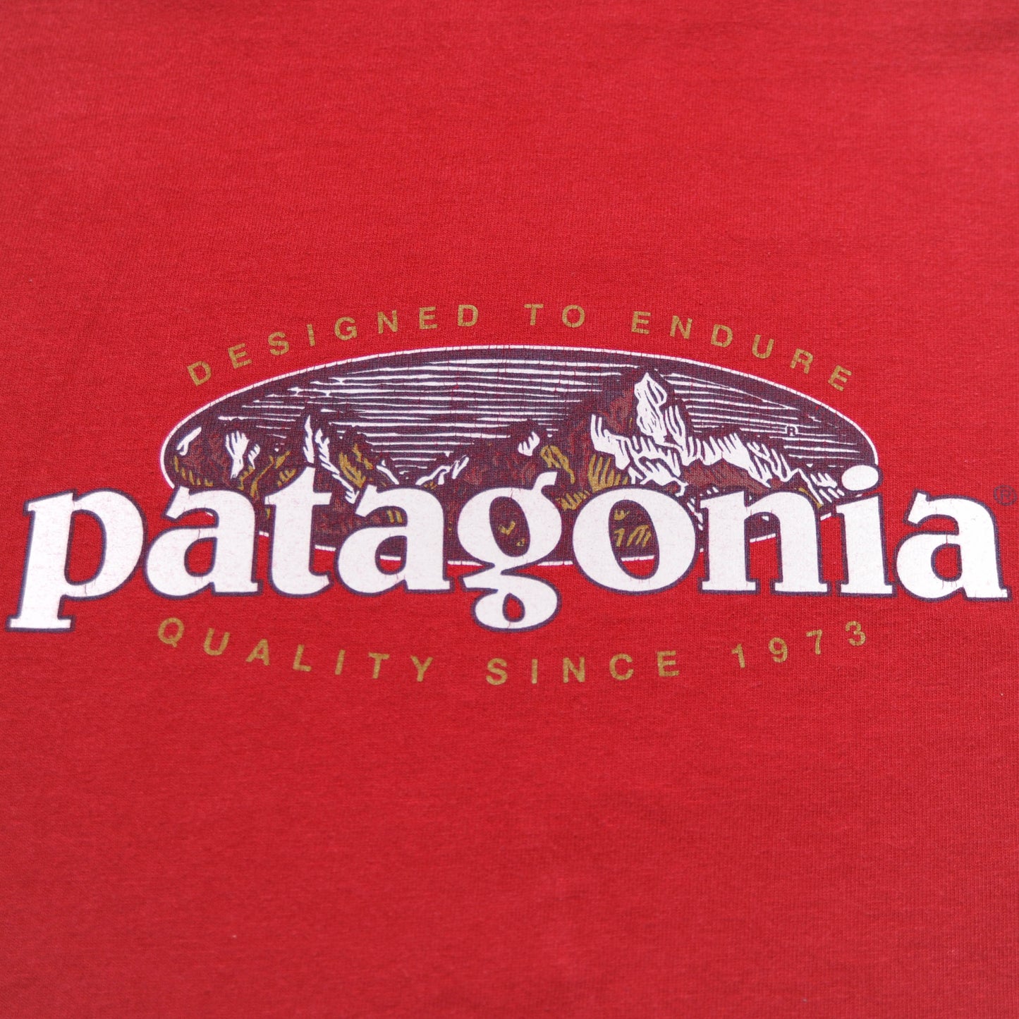 00's Patagonia Organic CottonロゴプリントL/S Tシャツ(XL)/A2379T-S