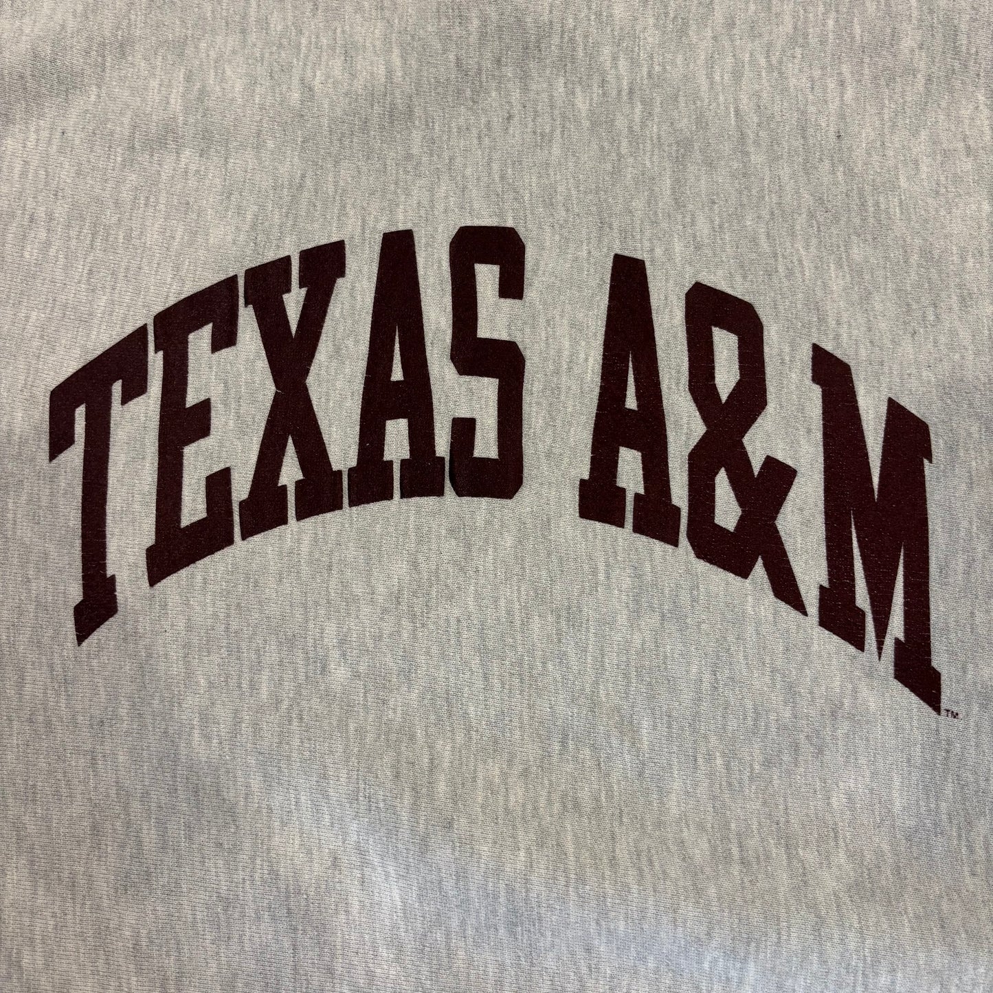 90's Campion リバースウィーブ TEXAS A&M プリント スウェット グレー XL /A5393S-SO