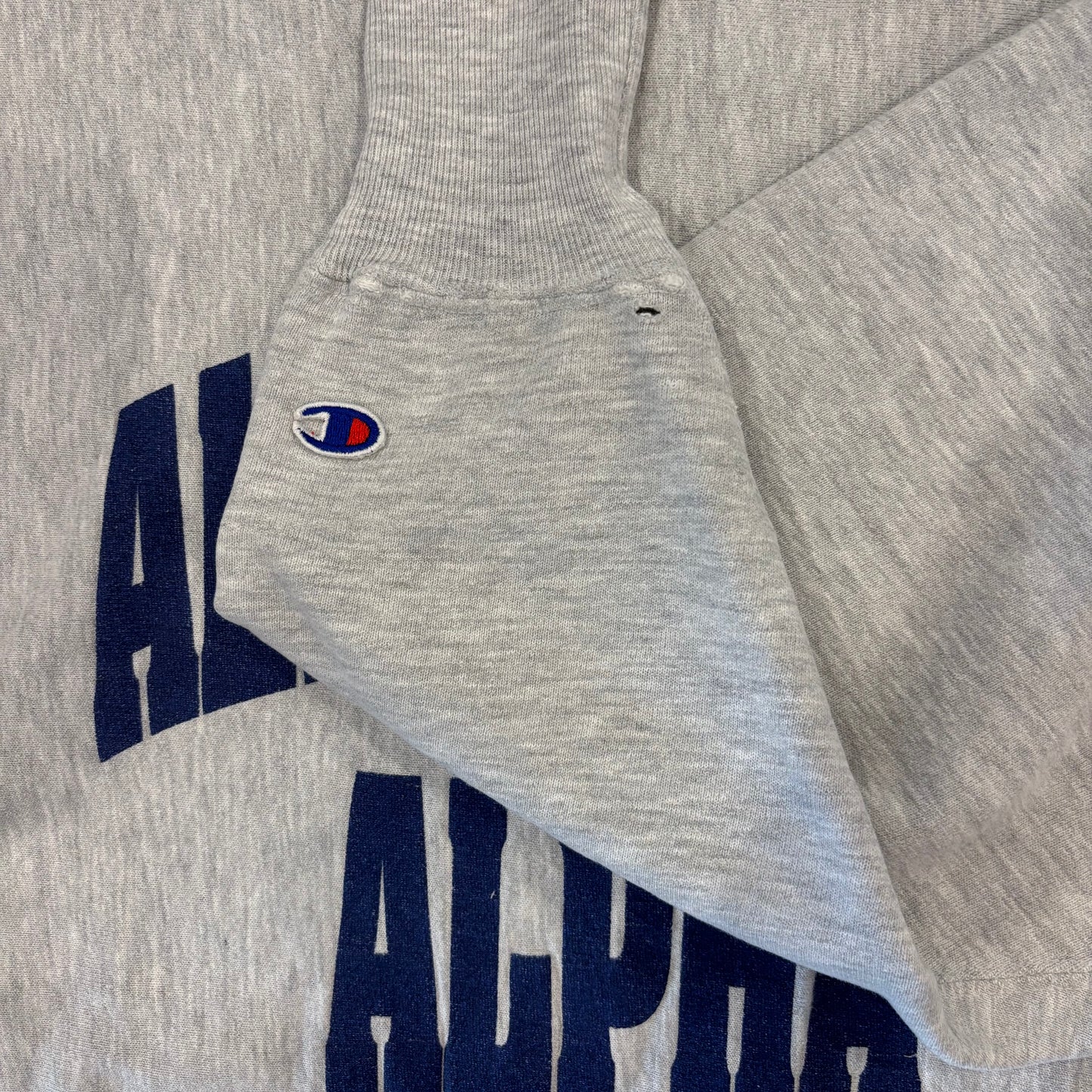 90's Campion リバースウィーブ ALPHA SIGMA ALPHA スウェット グレー XL /A8284S-SO