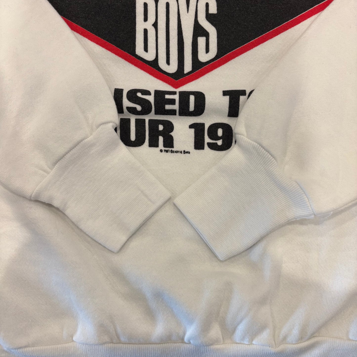 80's BEASTIE BOYS ツアースウェット 白 (M)/A5566S-SO