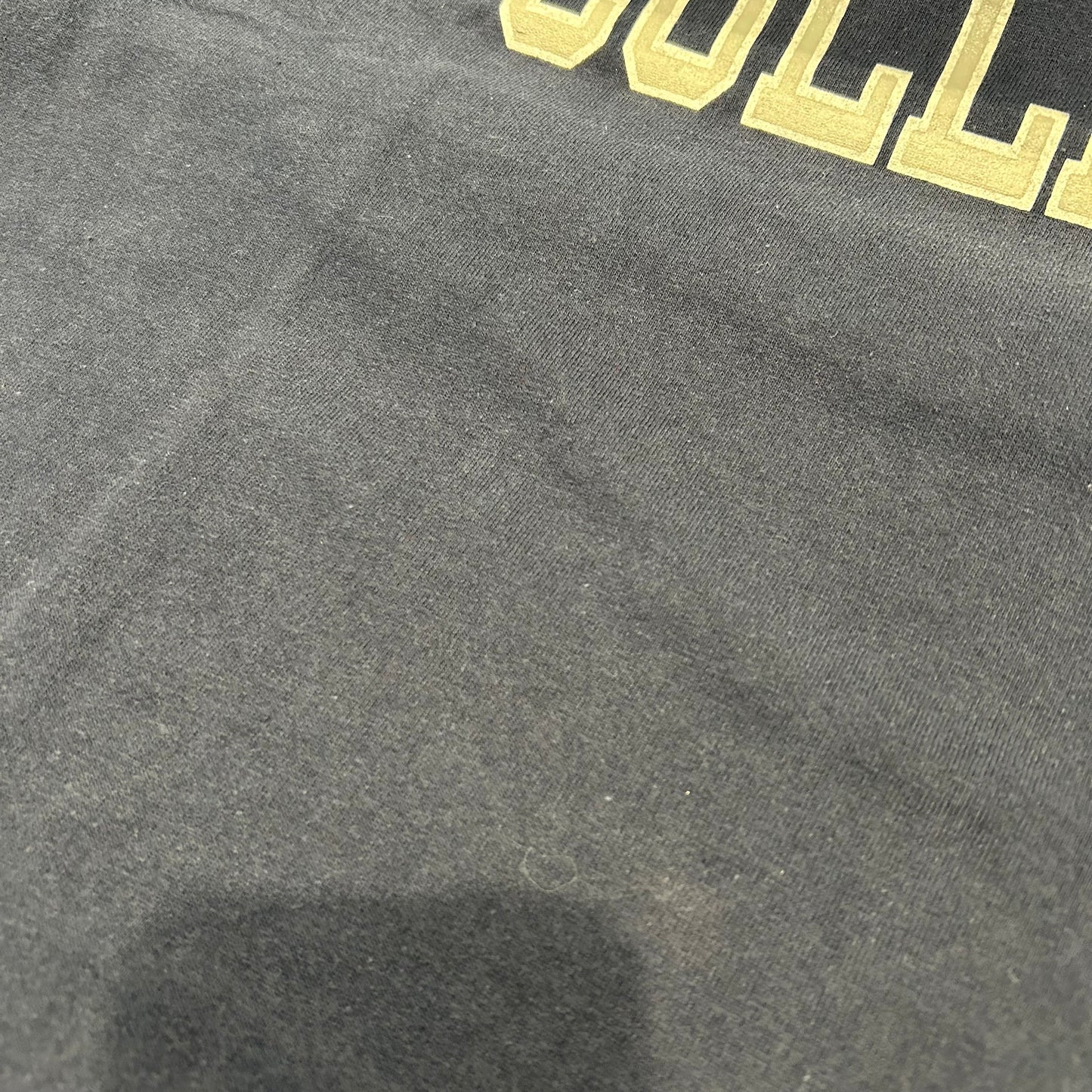 80's champion "DICKINSON COLLEGE" T-shirt (XL)/A6386T-SO