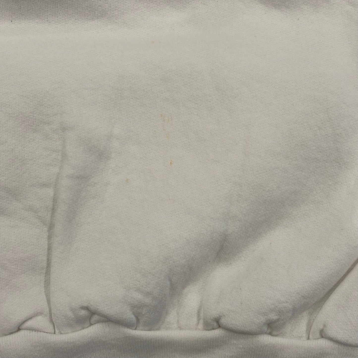 90's Hanes Freemasonry スウェット ホワイト (L)/B1544SW-SO