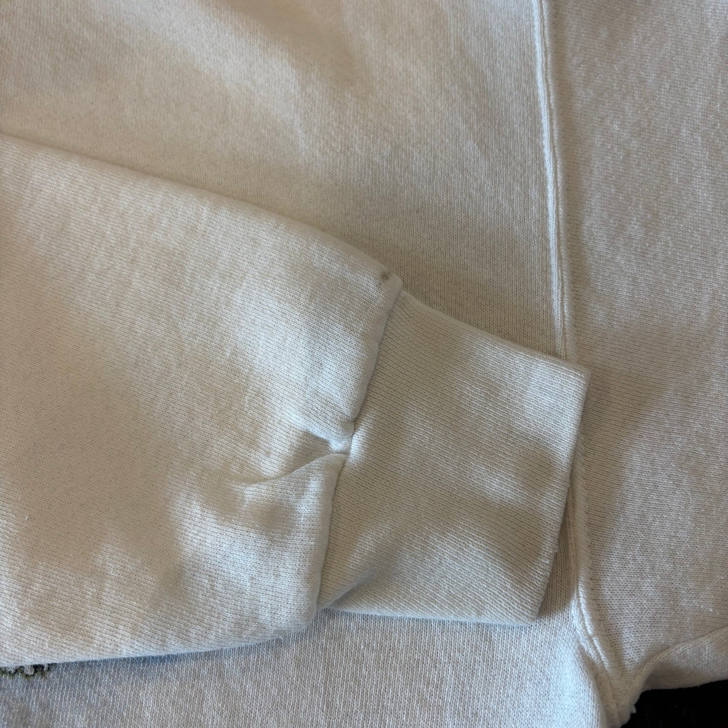 90's Disney ANIMAL KINGDOM sweat アニマルキングダム スウェット 白 (不明)/B1576S-SO