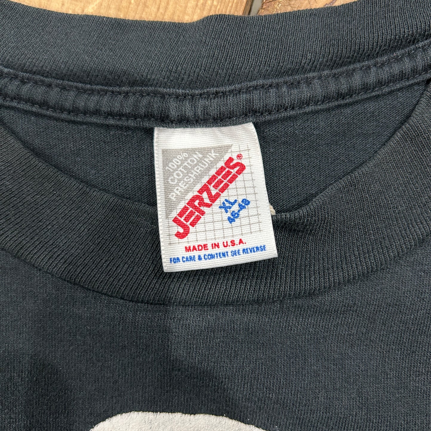 90's Jerzees SUE CHAFFEE イーグル アニマルアートTシャツ 黒(XL)/A7390T-SO