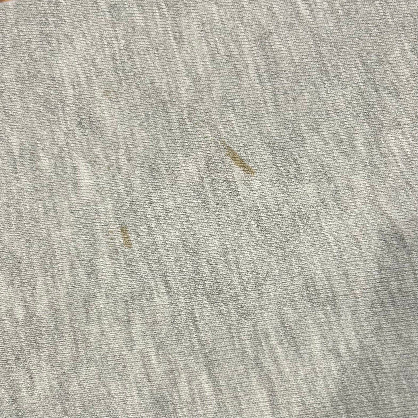 90's champion reverse weave "PENN" (XL) 6048S-SO