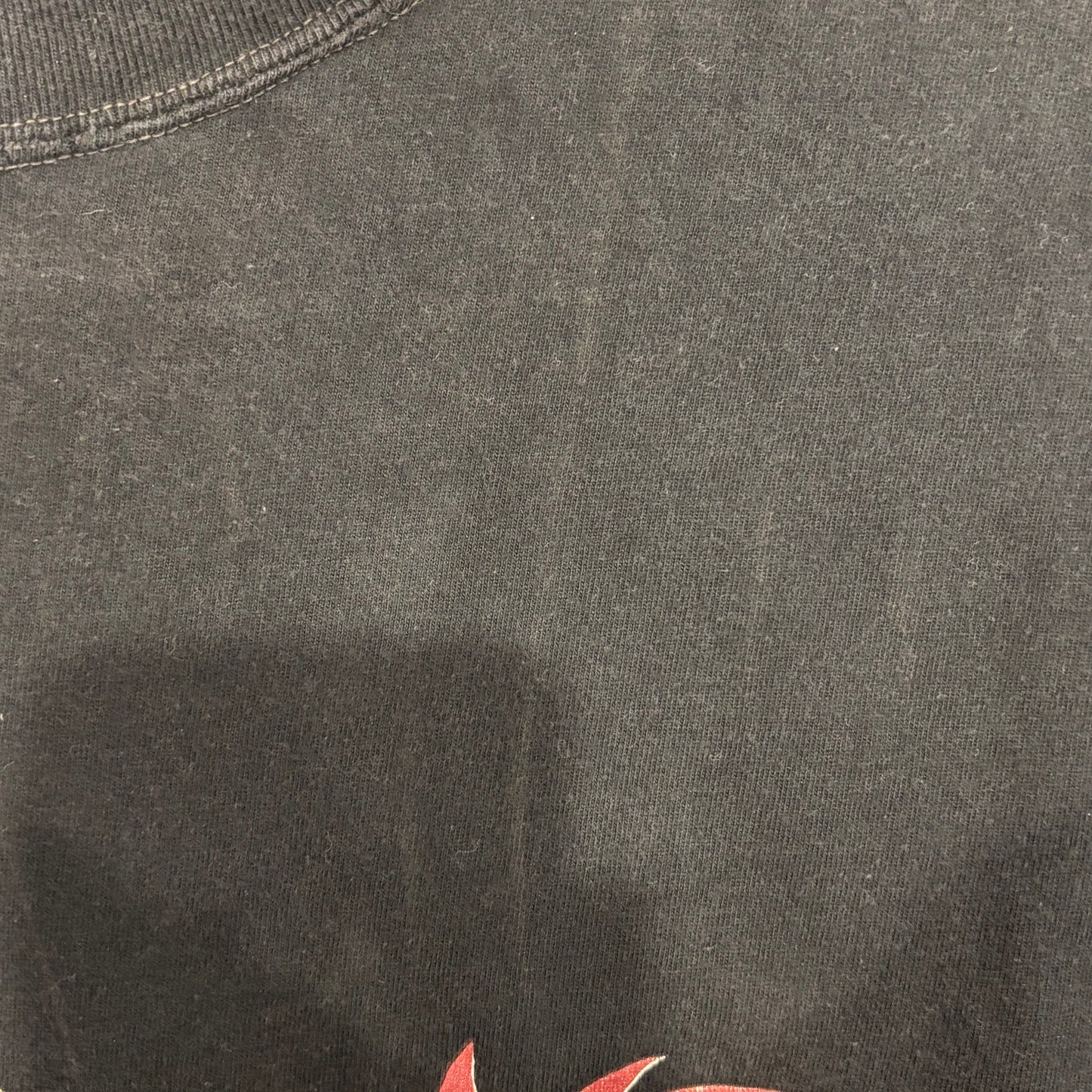 90's SUN Warner Bros バッグスバニー&タスマニアンデビル ロングTシャツ 黒 (M)/B2534T-SO