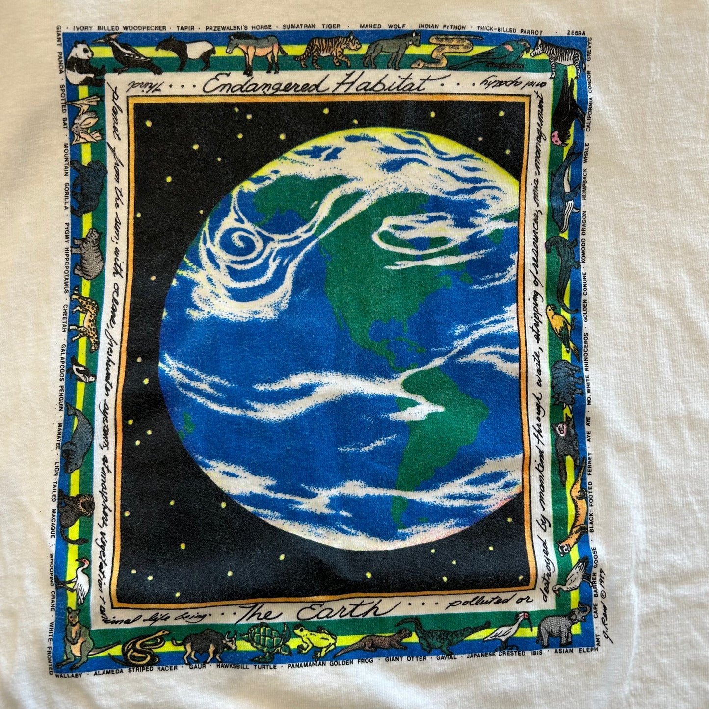 90's Hanes The Earth アートTシャツ 白(XL)/B2111T-SO