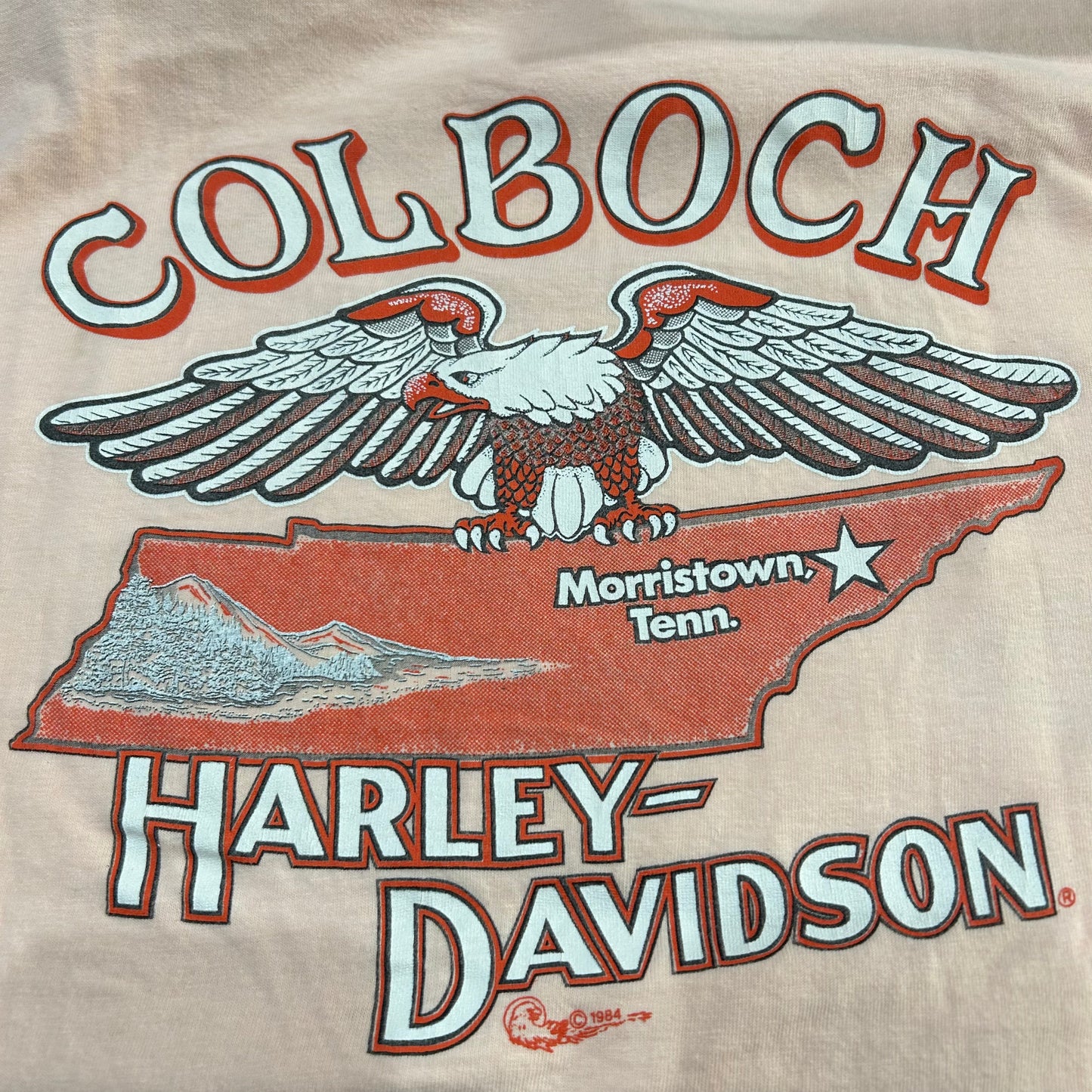 90's HARLEY DAVIDSON "COLBOCH Morristown Tenn" Tシャツ ピンク (不明)/A6487T-SO