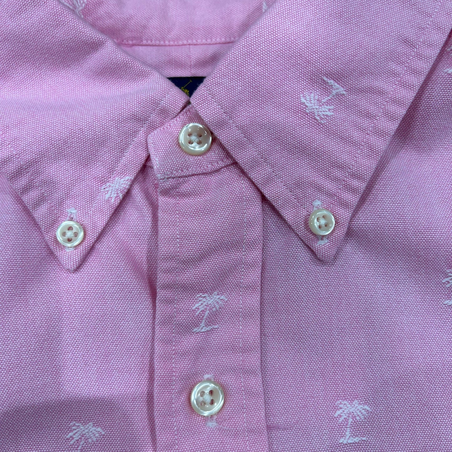 00's Ralph Lauren ラルフローレン オックスフォードシャツ ヤシの木 ピンク(L)/B2327SH-SO