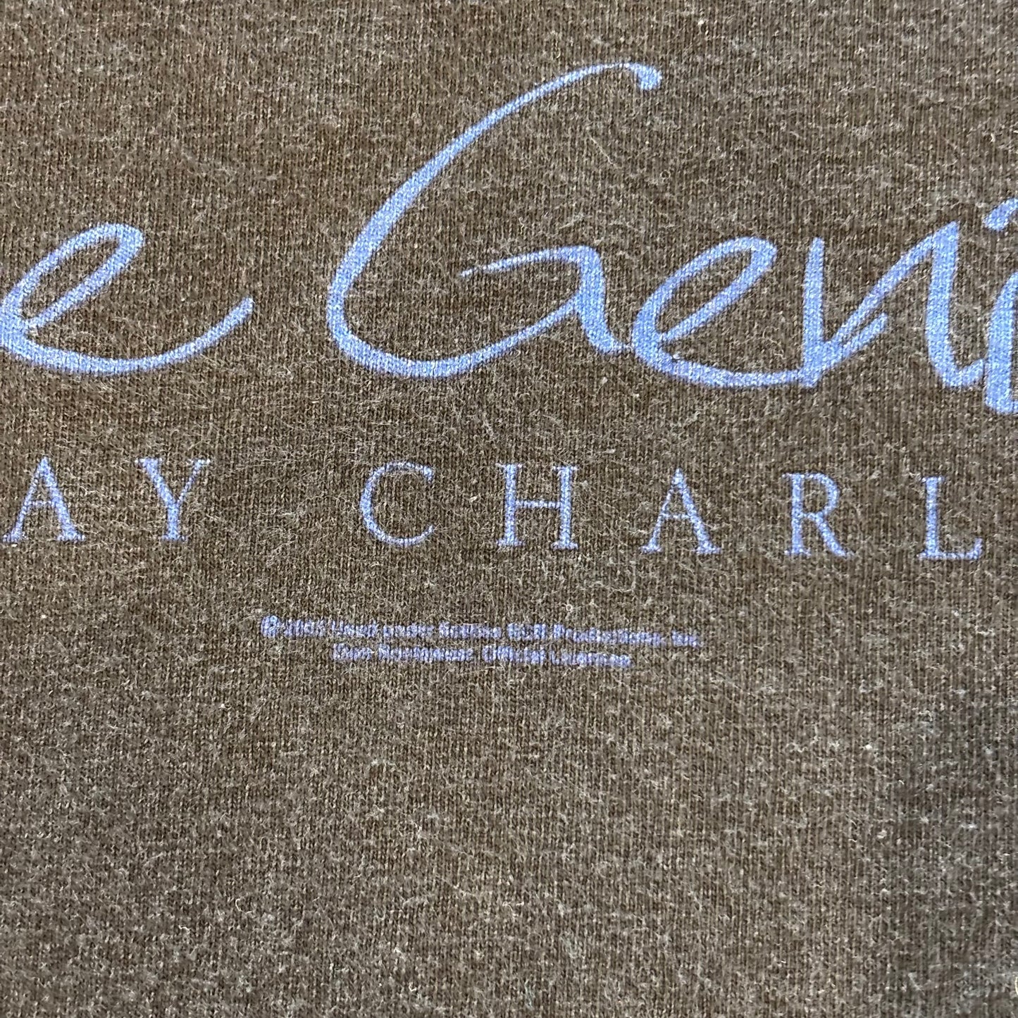 00's RAY CHARLES The Genius ミュージックTシャツ ブラック (L)/A3655T-SO