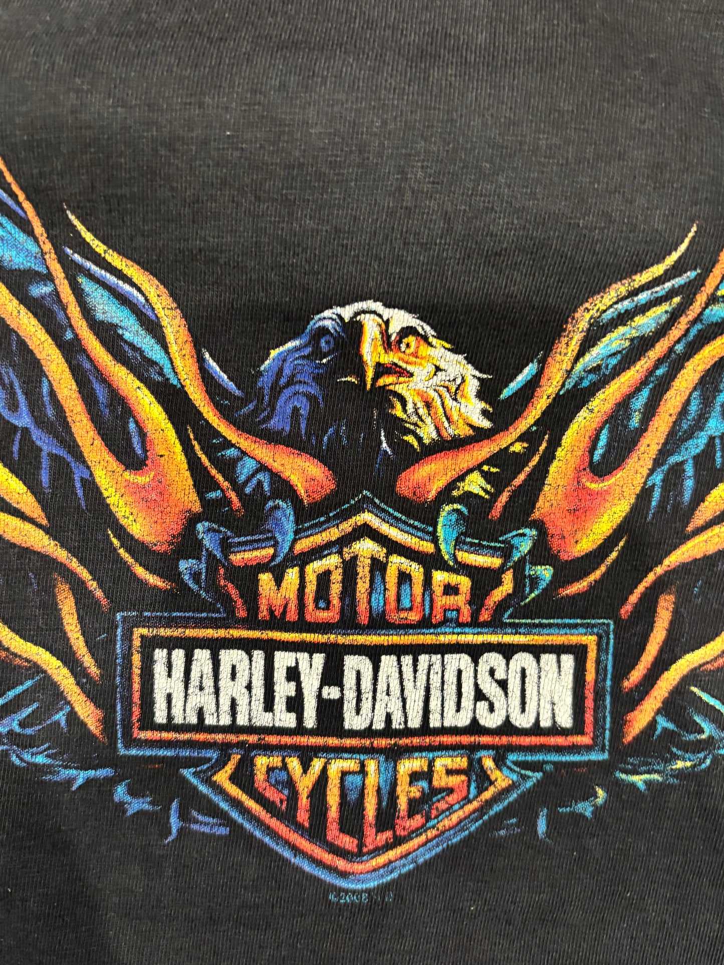 90's Harley-Davidson Las Vegas 袖プリント ロングTシャツ 黒 (L)/B3084T-SO