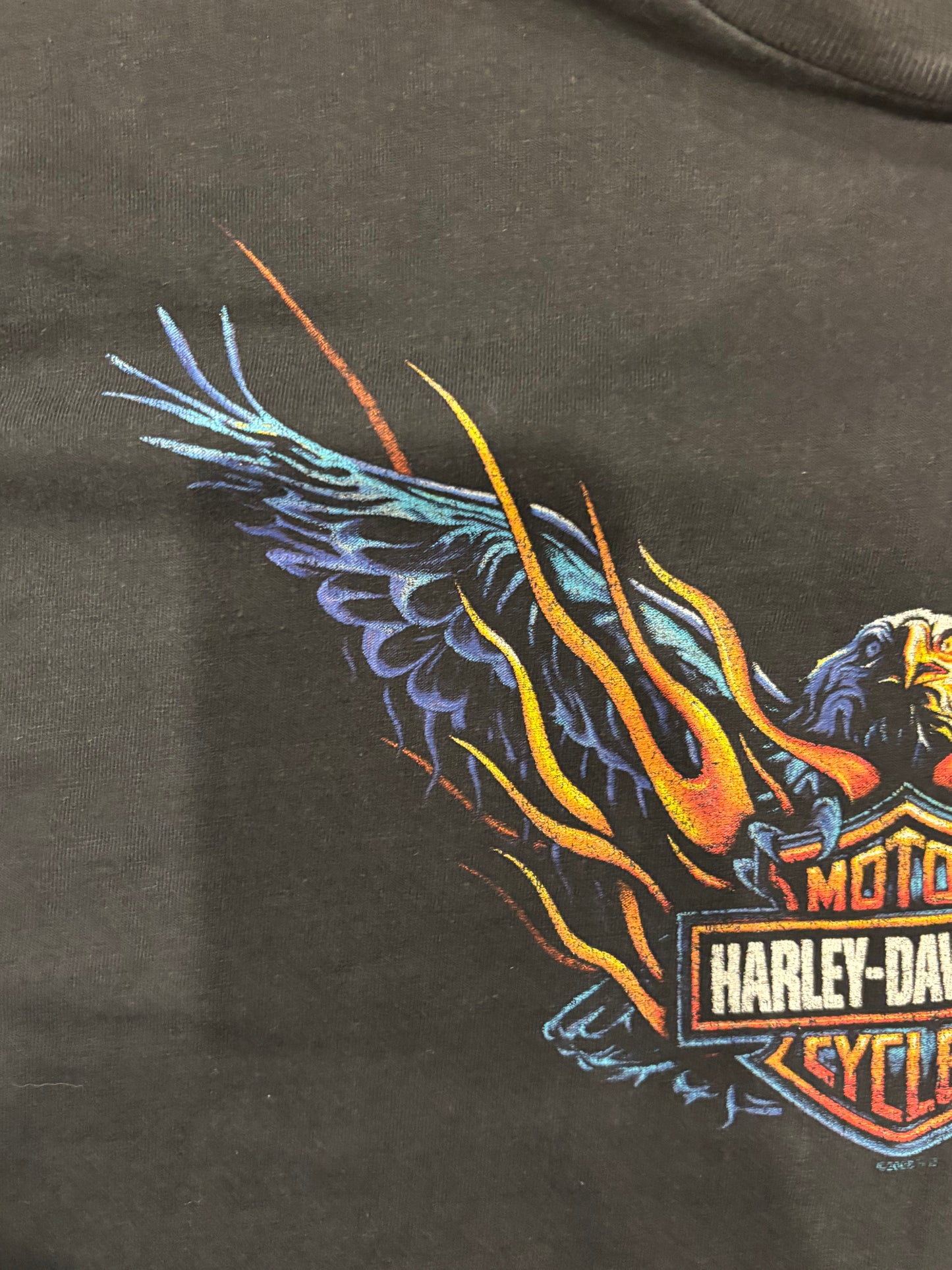 90's Harley-Davidson Las Vegas 袖プリント ロングTシャツ 黒 (L)/B3084T-SO