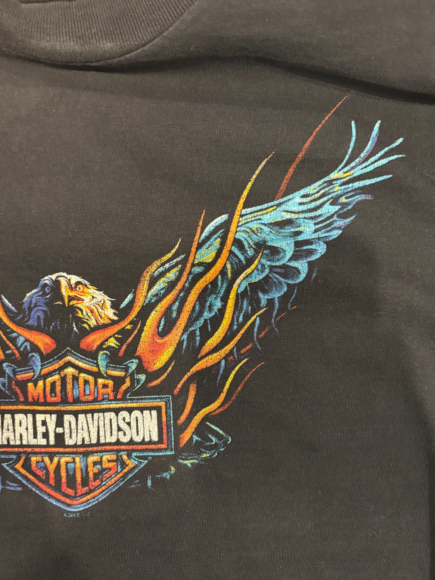 90's Harley-Davidson Las Vegas 袖プリント ロングTシャツ 黒 (L)/B3084T-SO