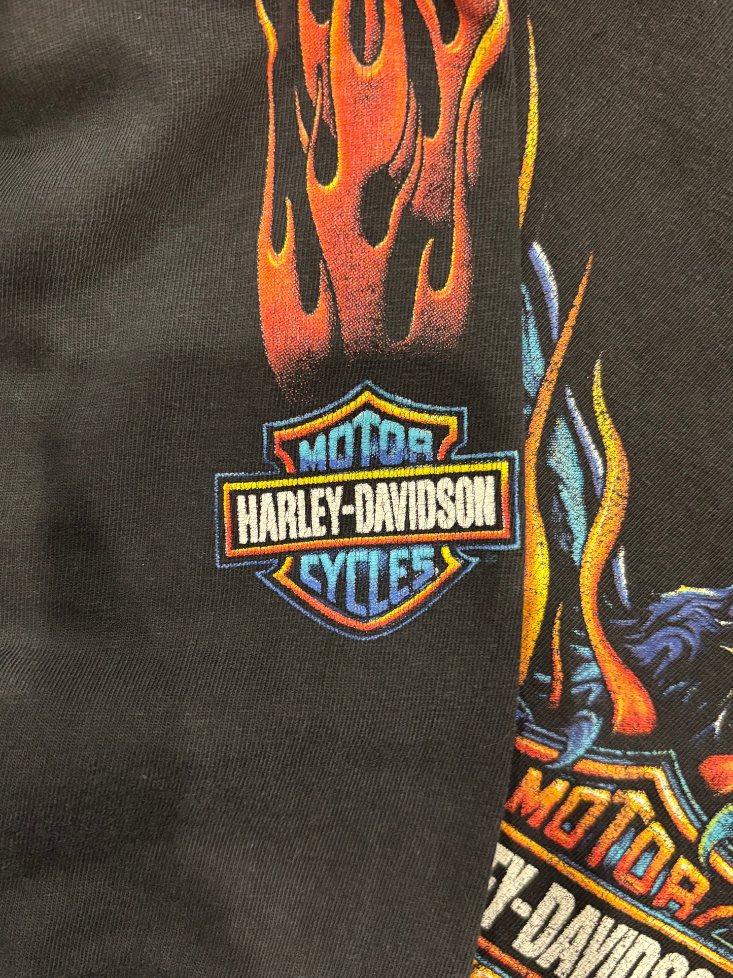 90's Harley-Davidson Las Vegas 袖プリント ロングTシャツ 黒 (L)/B3084T-SO
