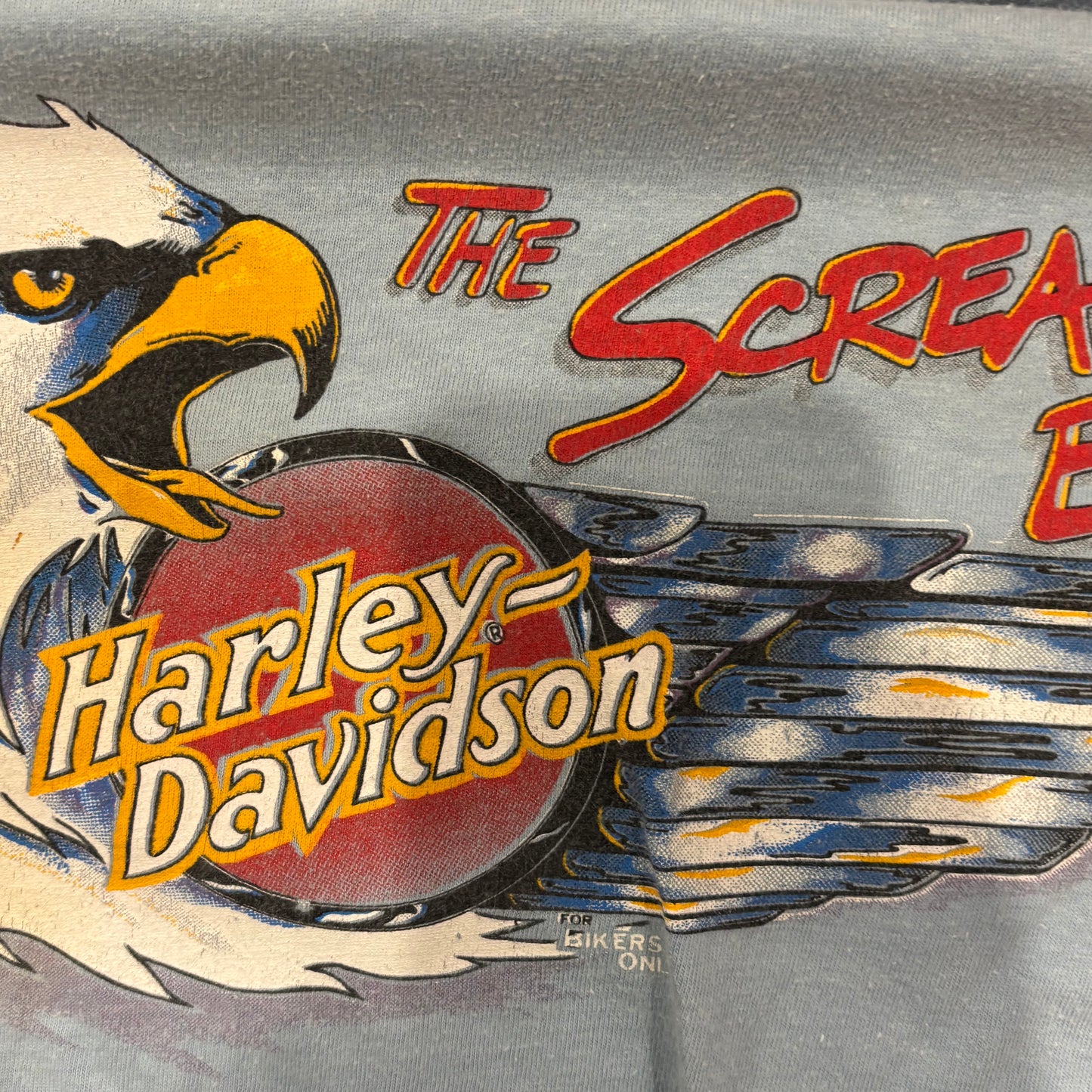 90's Hanes Harley-Davidson "The Screamin' Eagle" 袖プリント ロングTシャツ 水色 (L)/A6501T-SO