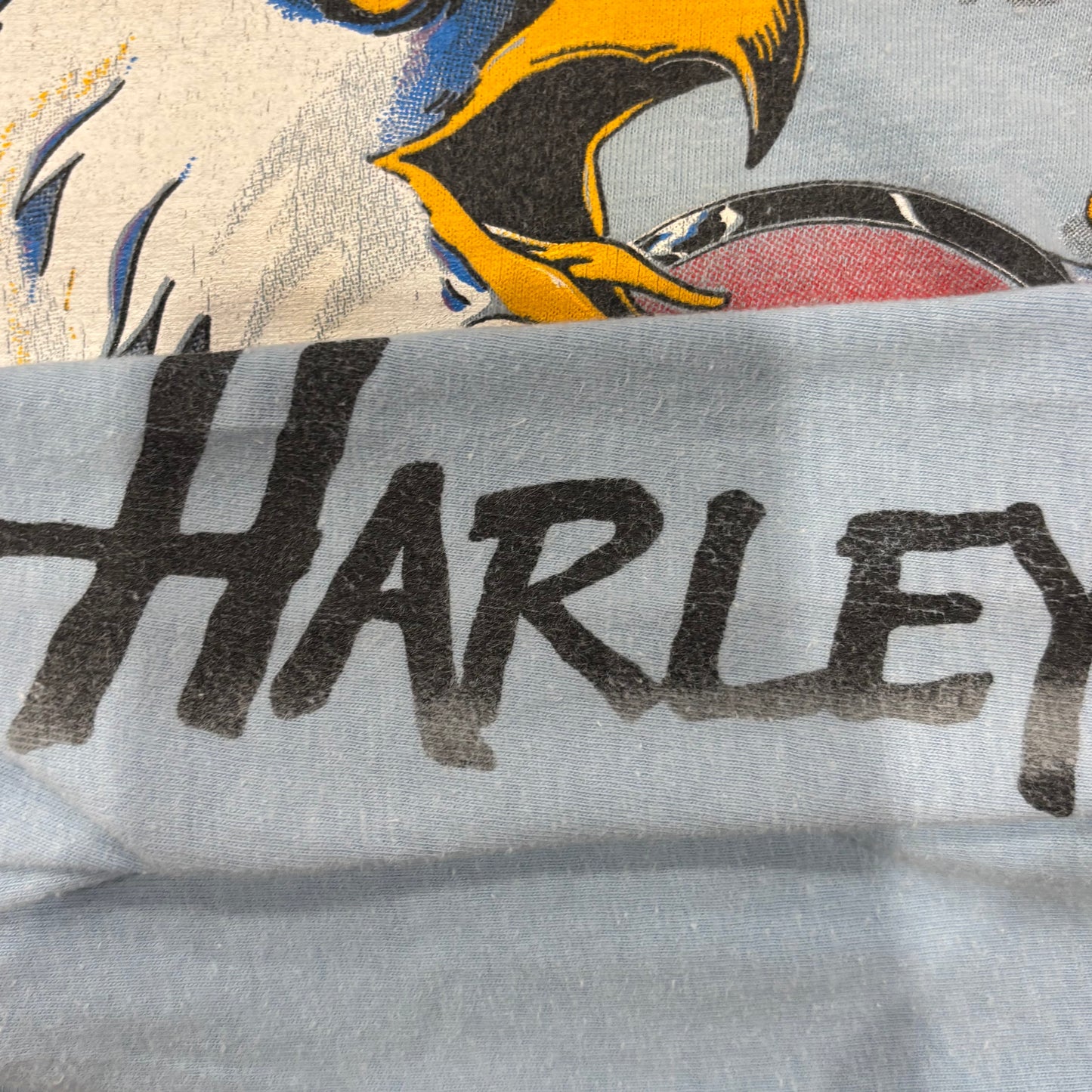 90's Hanes Harley-Davidson "The Screamin' Eagle" 袖プリント ロングTシャツ 水色 (L)/A6501T-SO