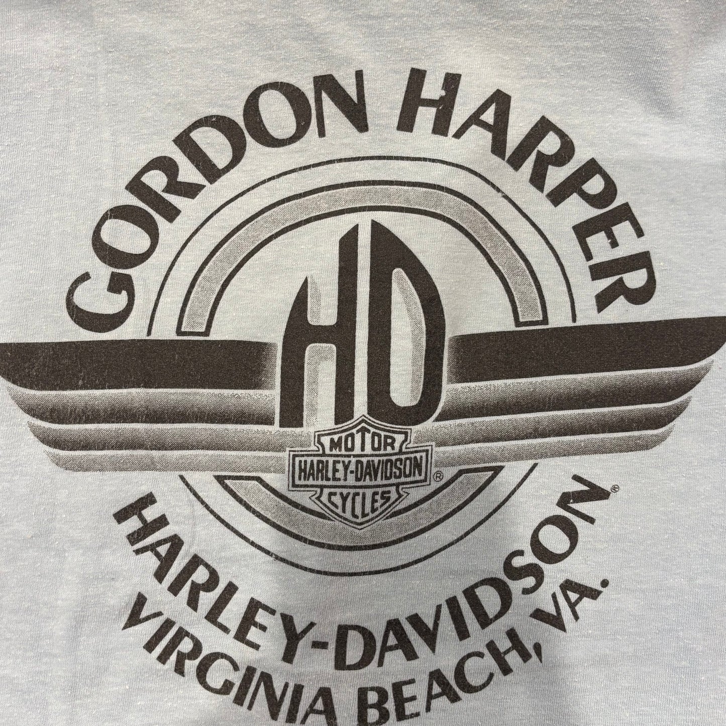 90's Hanes Harley-Davidson "The Screamin' Eagle" 袖プリント ロングTシャツ 水色 (L)/A6501T-SO