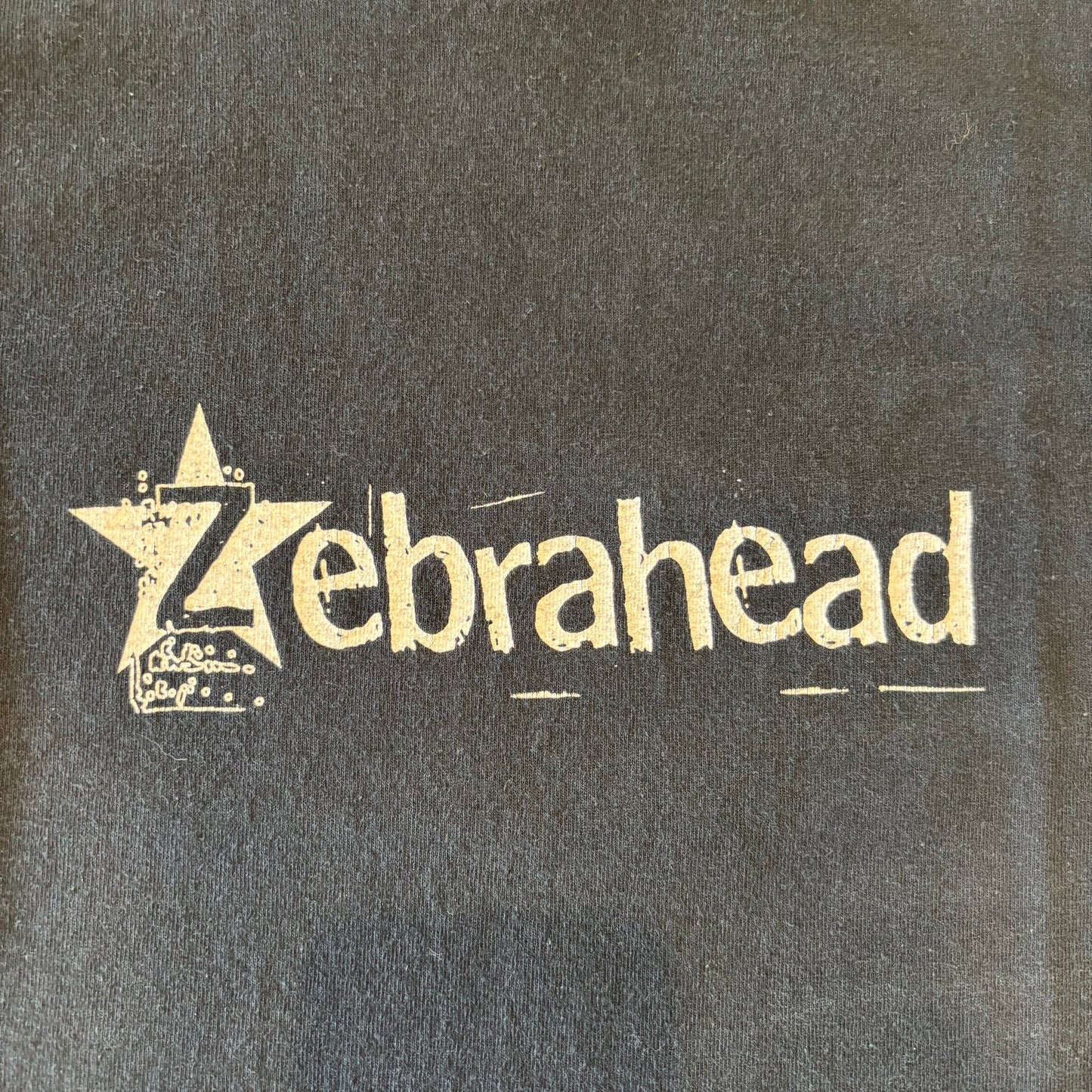 00's Zebrahead MFZB ツアーTシャツ 黒 (L)/A6437T-SO