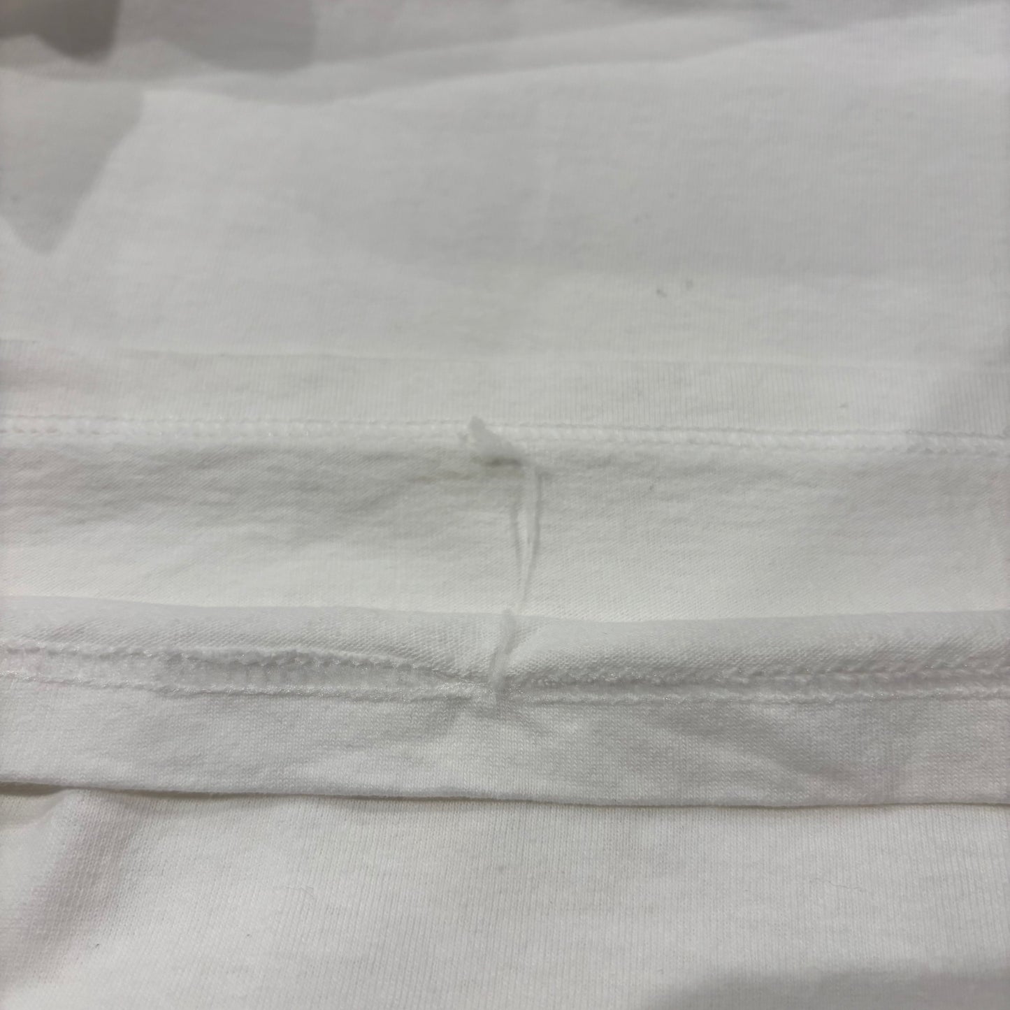 90's BRUCE SPRINGSTEEN "BORN TO RUN"T-shirt (L)/A6482T-SO