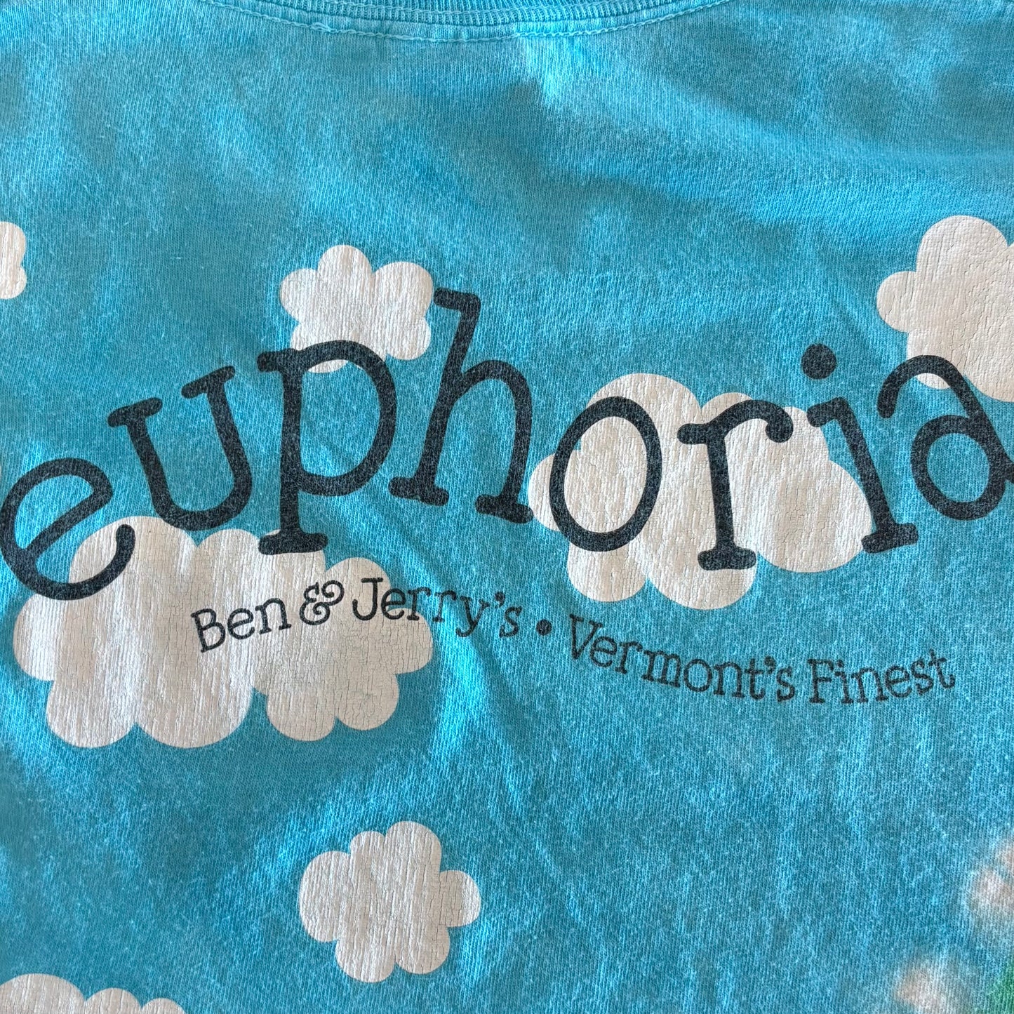 00's GILDAN BEN&JERRY'S アイスクリーム 企業Tシャツ 青緑 (M)/B2028T-SO