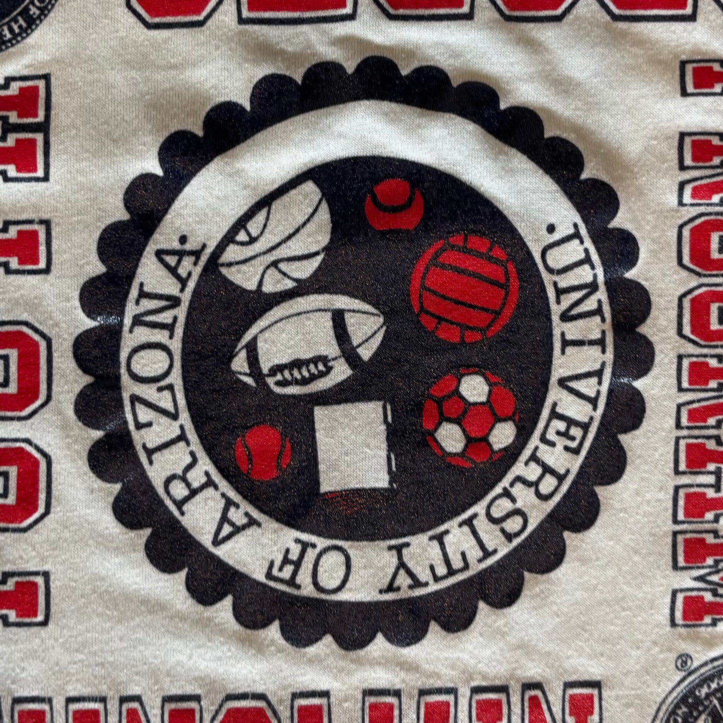 80's Champion アリゾナ大学 NATIONAL YOUTH SPORTS PROGRAM Tシャツ 水色 (XL)/A6395T-SO