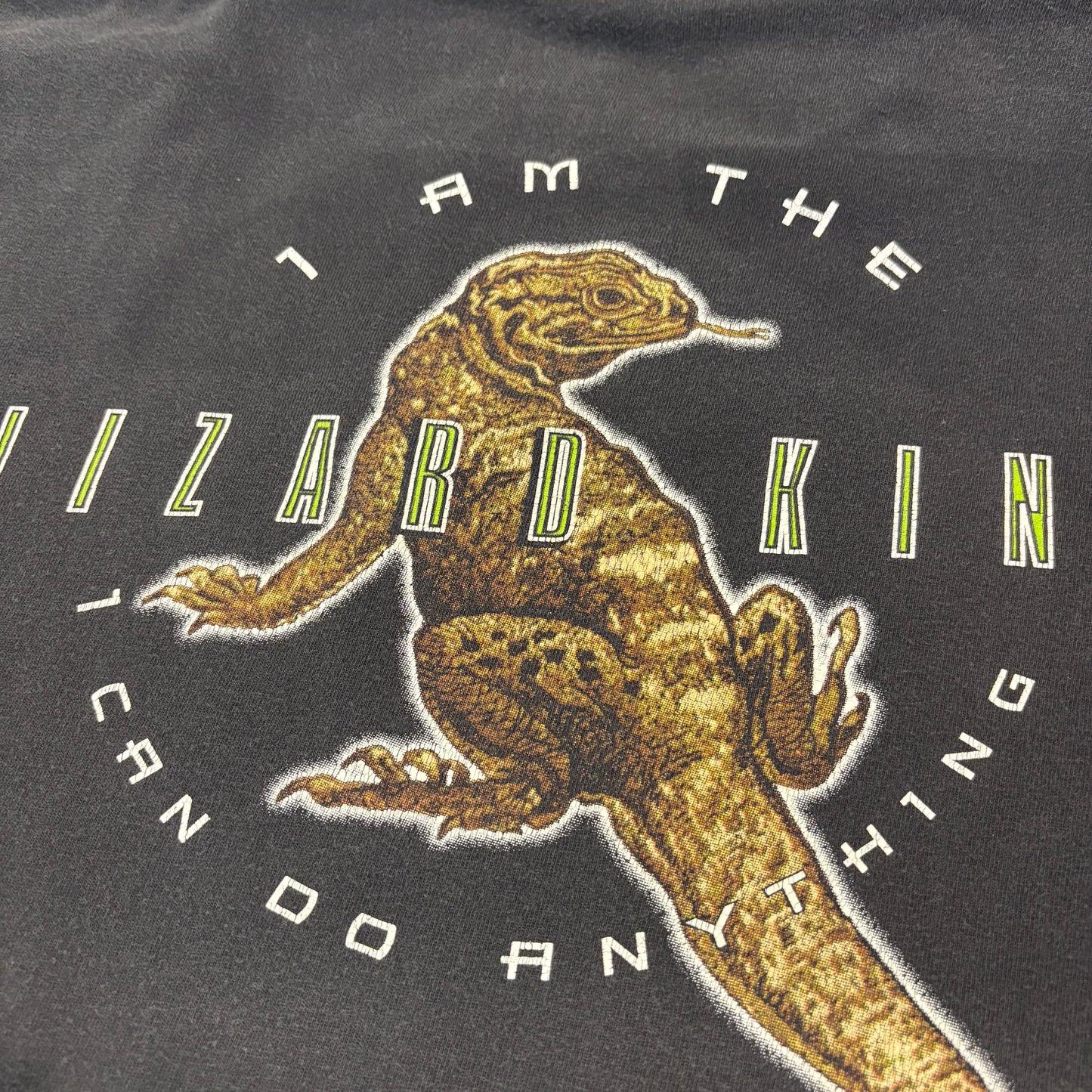 90's DOORS "LIZARD KING " Tシャツ black (XL)/A4058T-SO