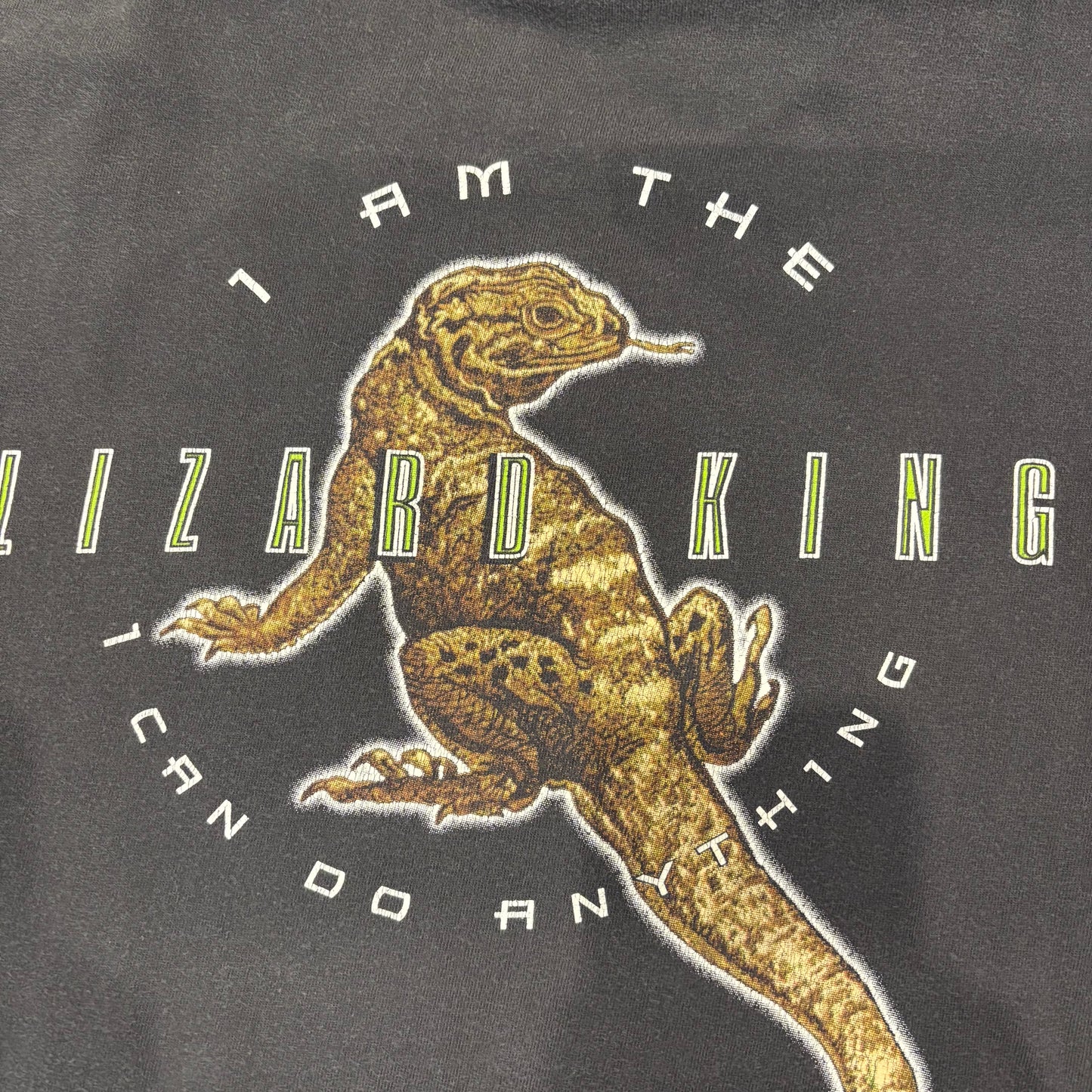 90's DOORS "LIZARD KING " Tシャツ black (XL)/A4058T-SO