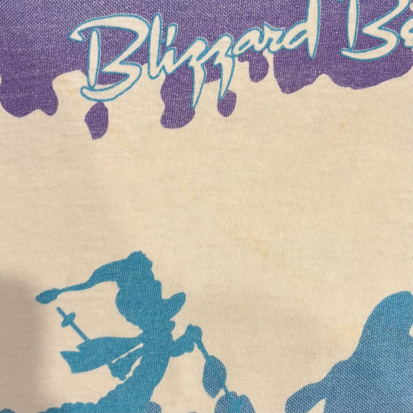 00's Walt Disney World ブリザードビーチ ボーダーTシャツ 白紫青 (サイズ不明)/A6498T-SO
