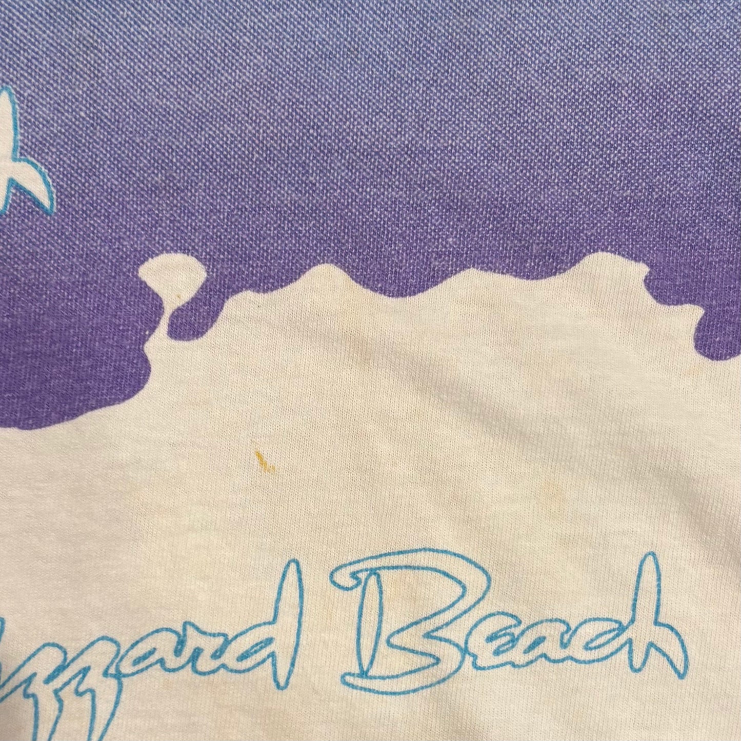 00's Walt Disney World ブリザードビーチ ボーダーTシャツ 白紫青 (サイズ不明)/A6498T-SO