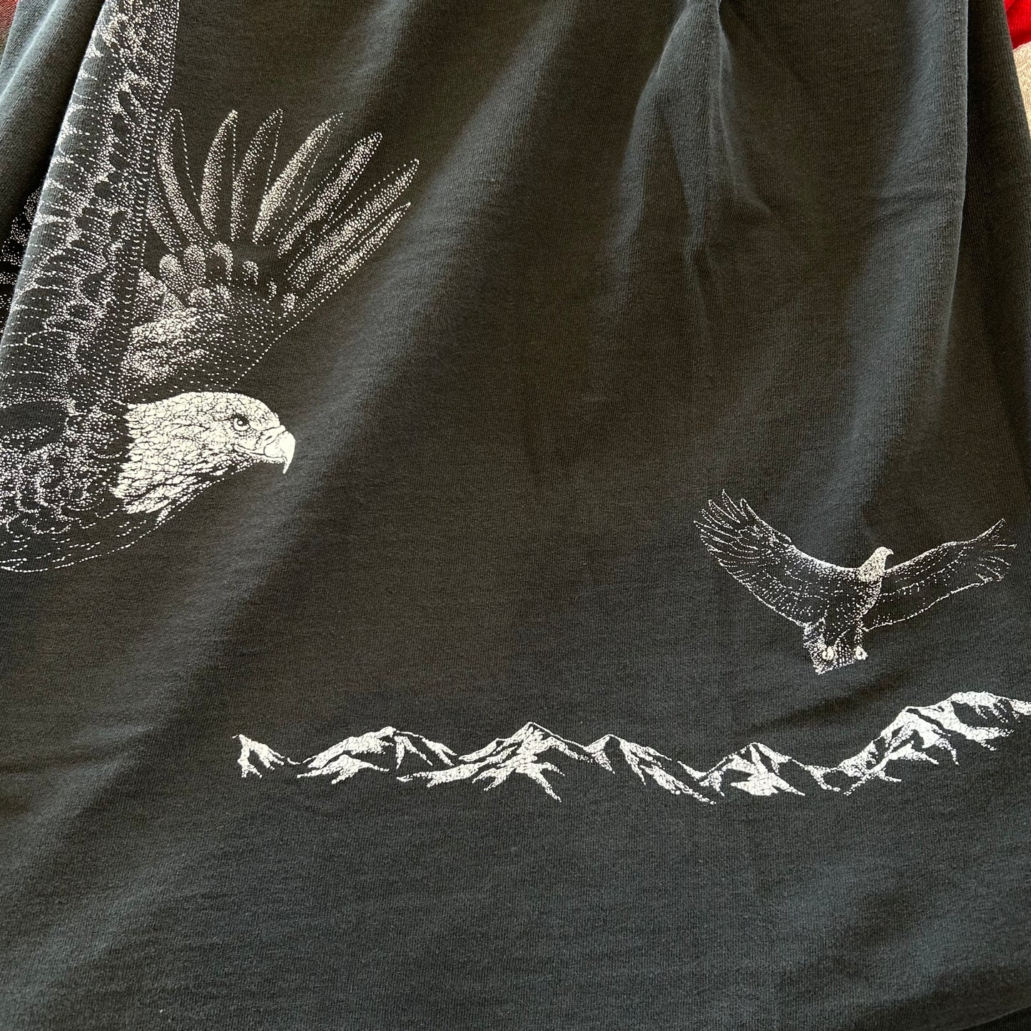 90's ALASKA イーグル巻きプリントTシャツ 黒(M)/A7185T-SO