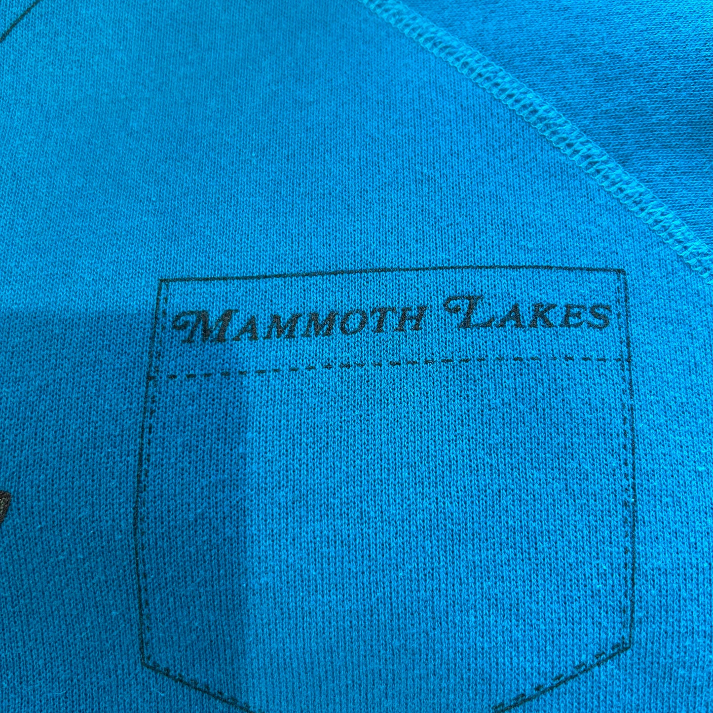 80’s Hanes MAMMOTH LAKES 騙し絵スウェット ニジマス(XL)/A2946S-SO