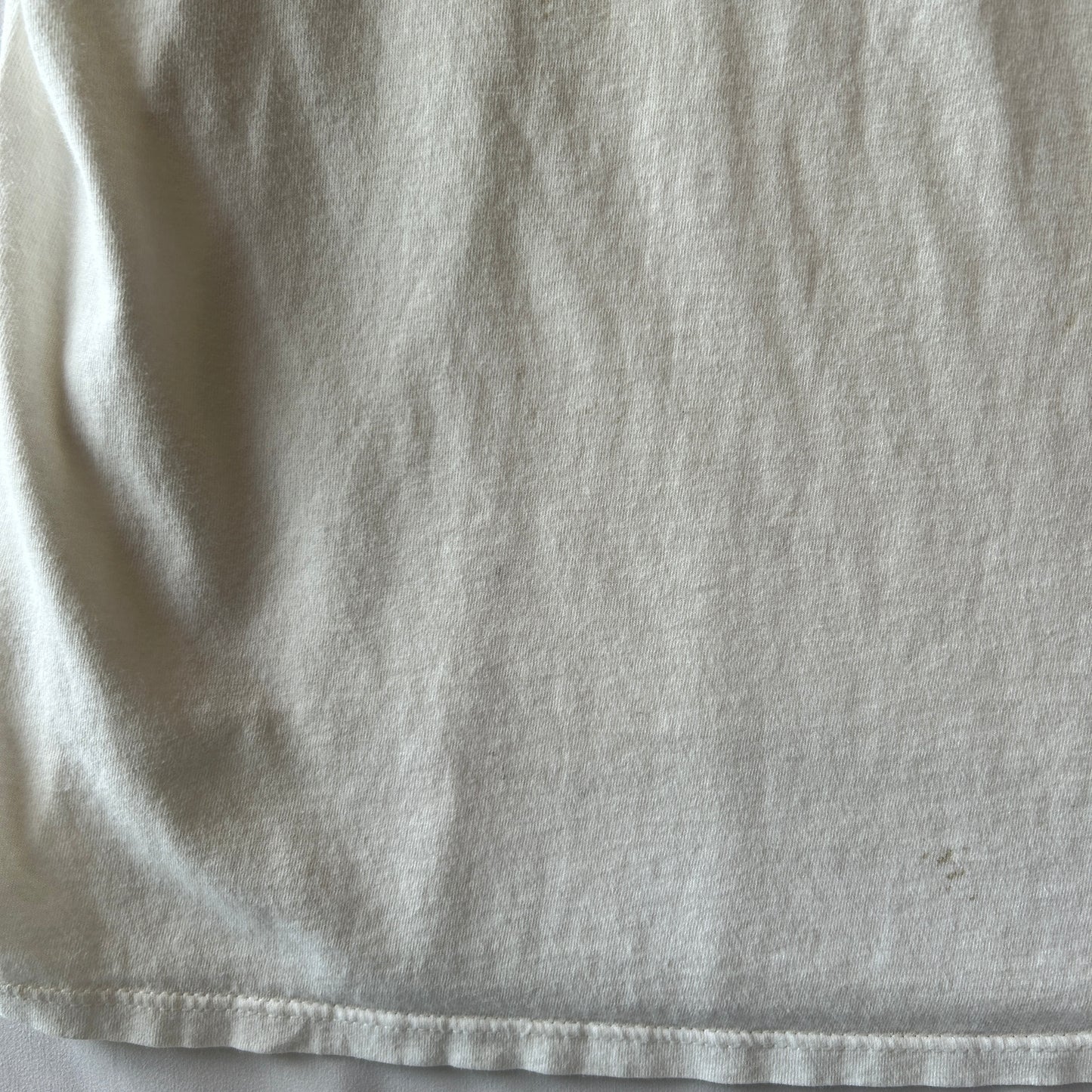 90's APLIS(応用物理学研究所氷上観測ステーション) Tシャツ Jerzees(L)/C0805T-SO