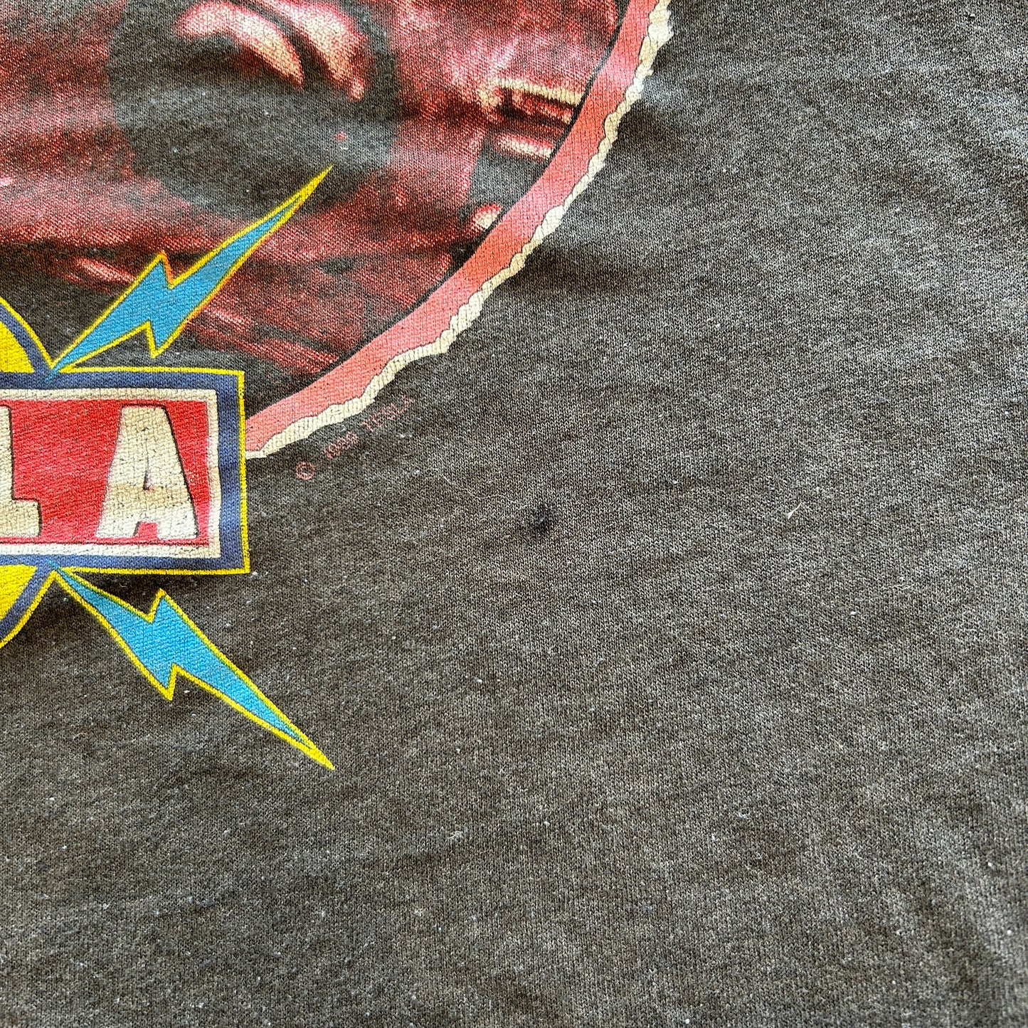 80's TESLA テスラ1989 World Tour Tシャツ 黒(XL)/A6689T-SO