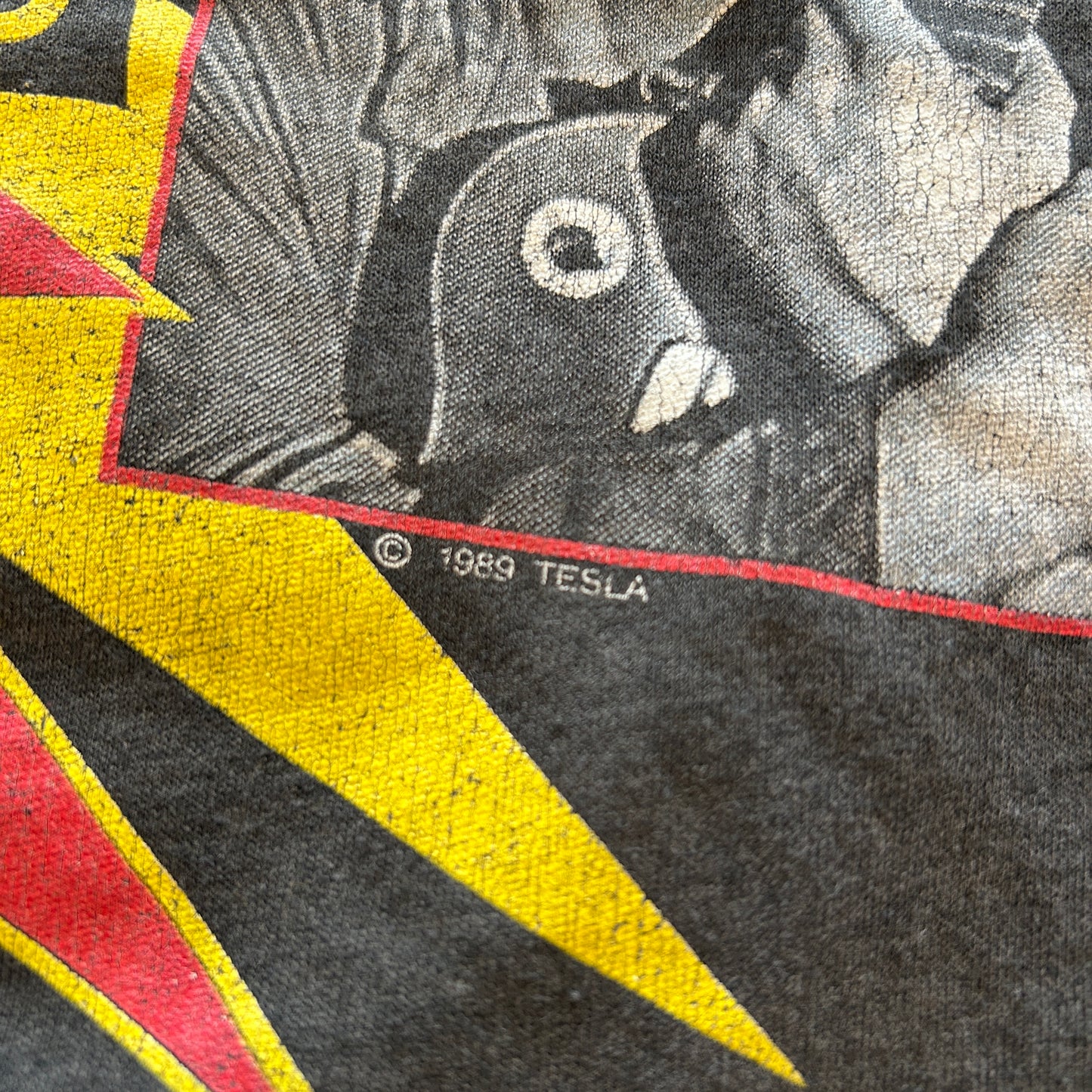 80's TESLA テスラ1989 World Tour Tシャツ 黒(XL)/A6689T-SO