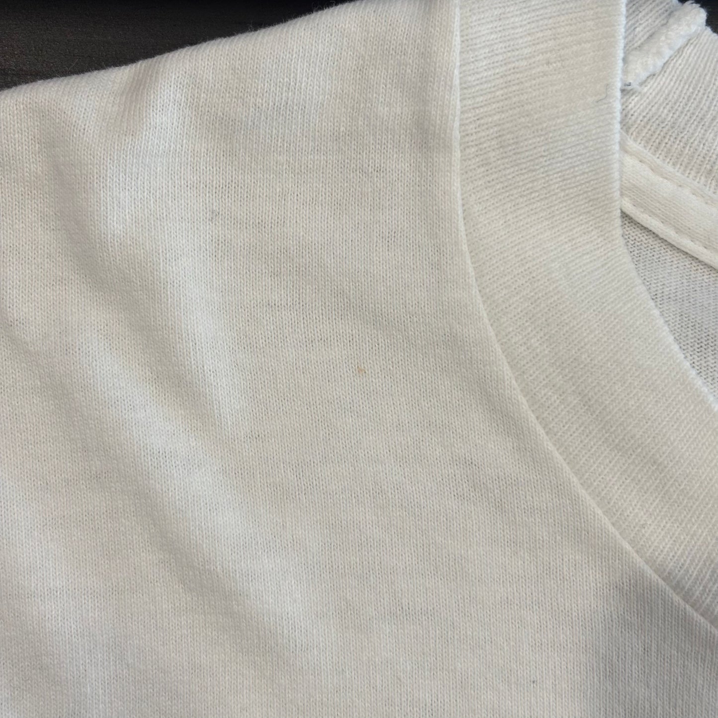 90's Fruit Of The Loom Leonardo Da Vinci ウィトルウィウス的人体図 芸術家 Tシャツ 白 (L)/B2169T-SO