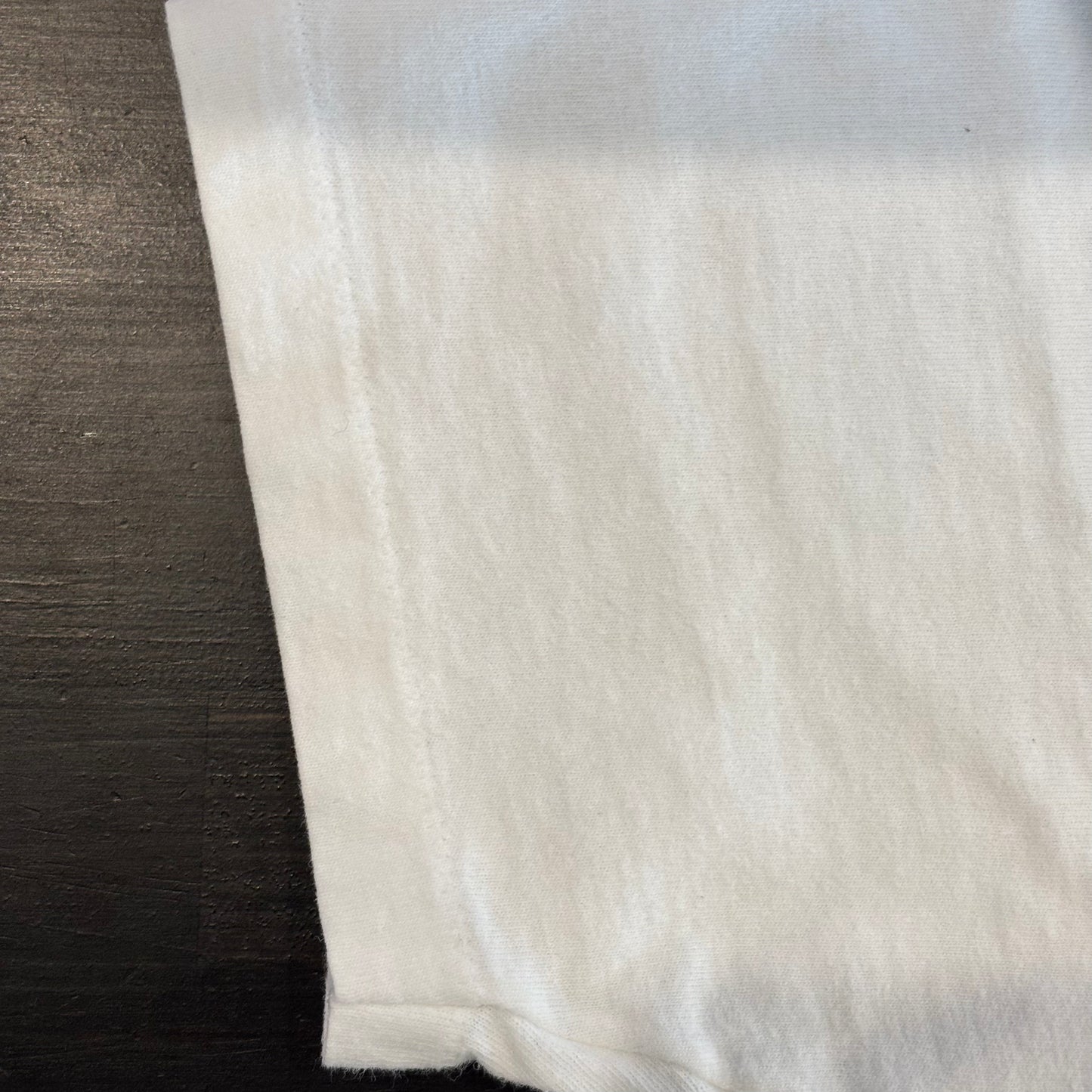 90's Fruit Of The Loom Leonardo Da Vinci ウィトルウィウス的人体図 芸術家 Tシャツ 白 (L)/B2169T-SO