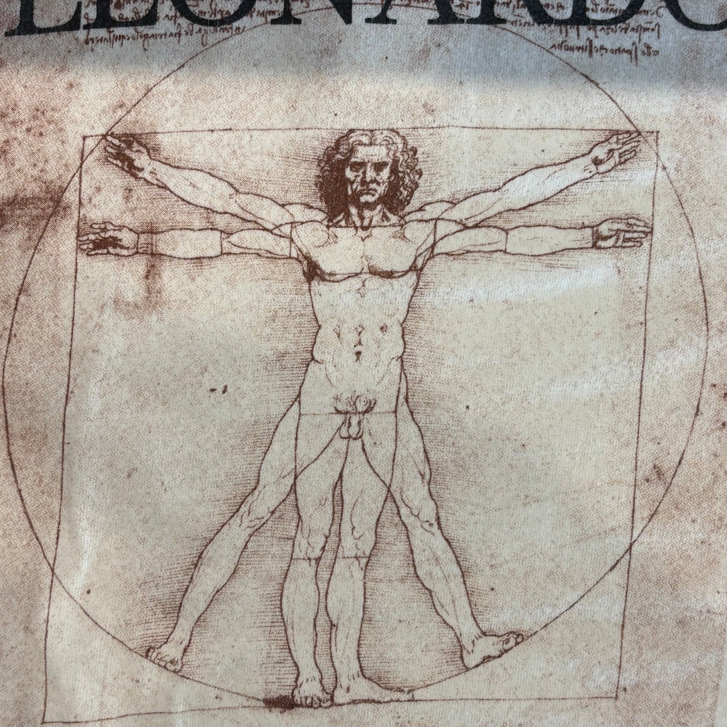 90's Fruit Of The Loom Leonardo Da Vinci ウィトルウィウス的人体図 芸術家 Tシャツ 白 (L)/B2169T-SO