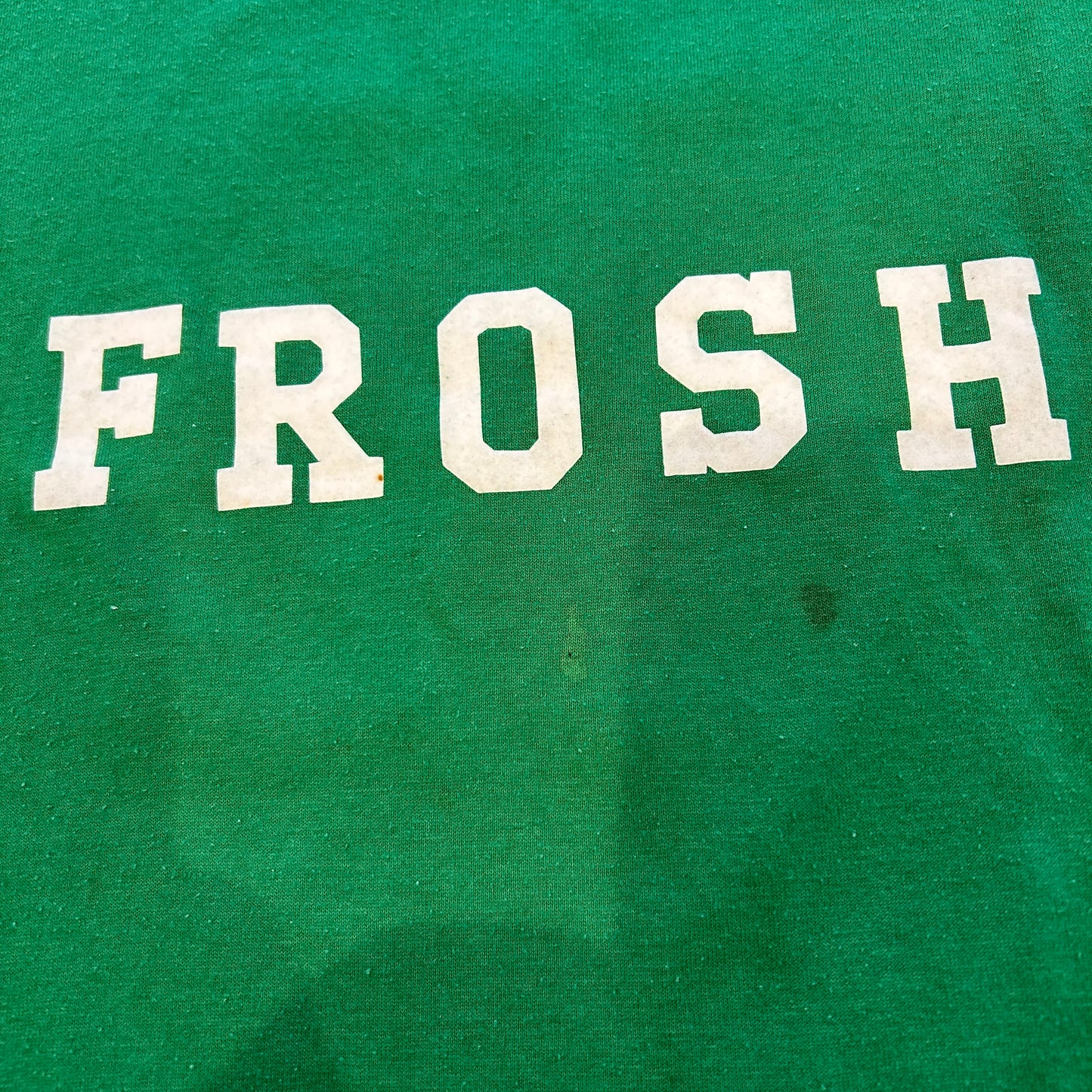 80's Jerzees ”FROSH”フロッキープリントナンバリングTシャツ 緑(L)/A7066T-SO